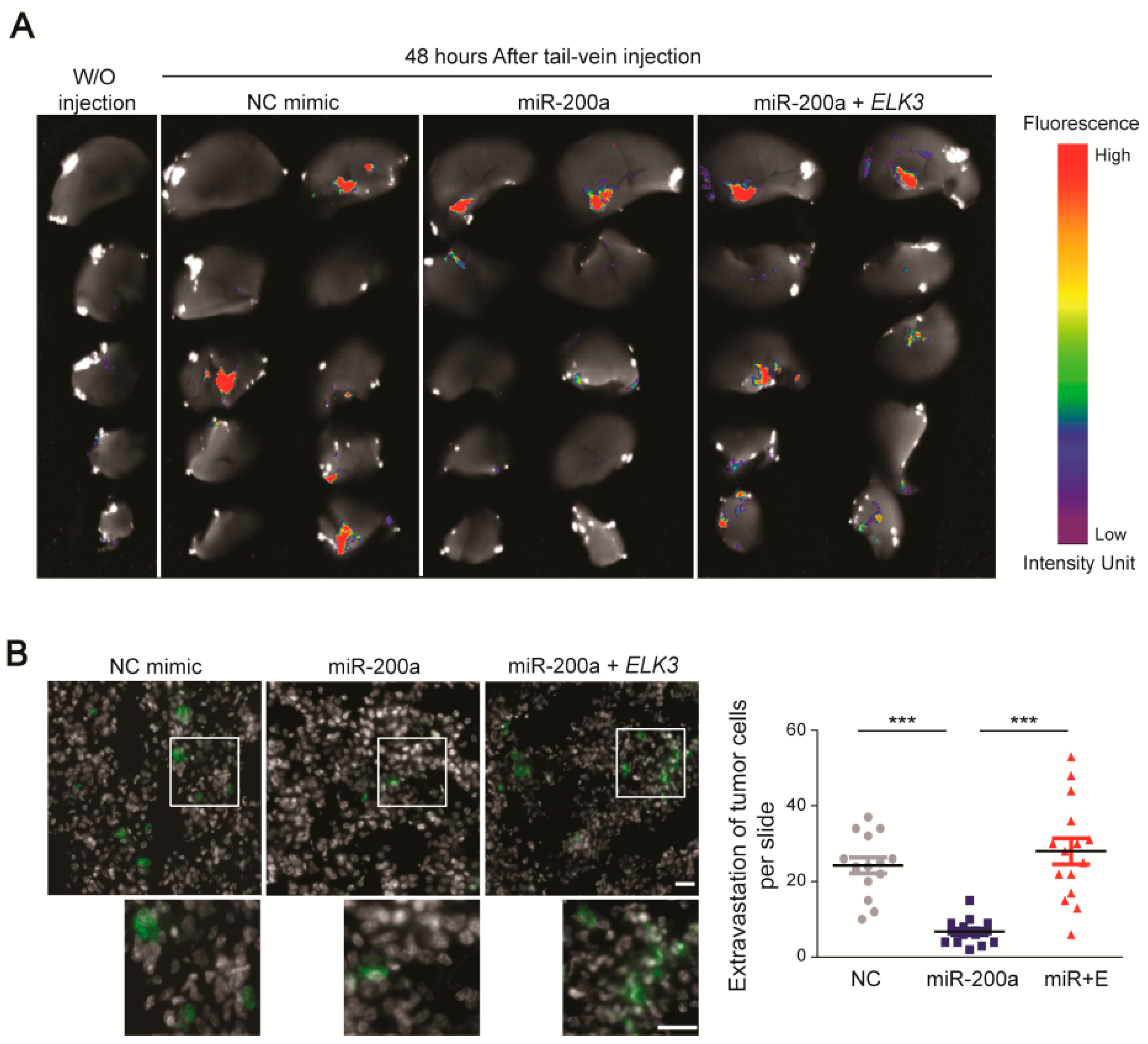Cancers 12 01225 g006 Cancers 12 01225 g006