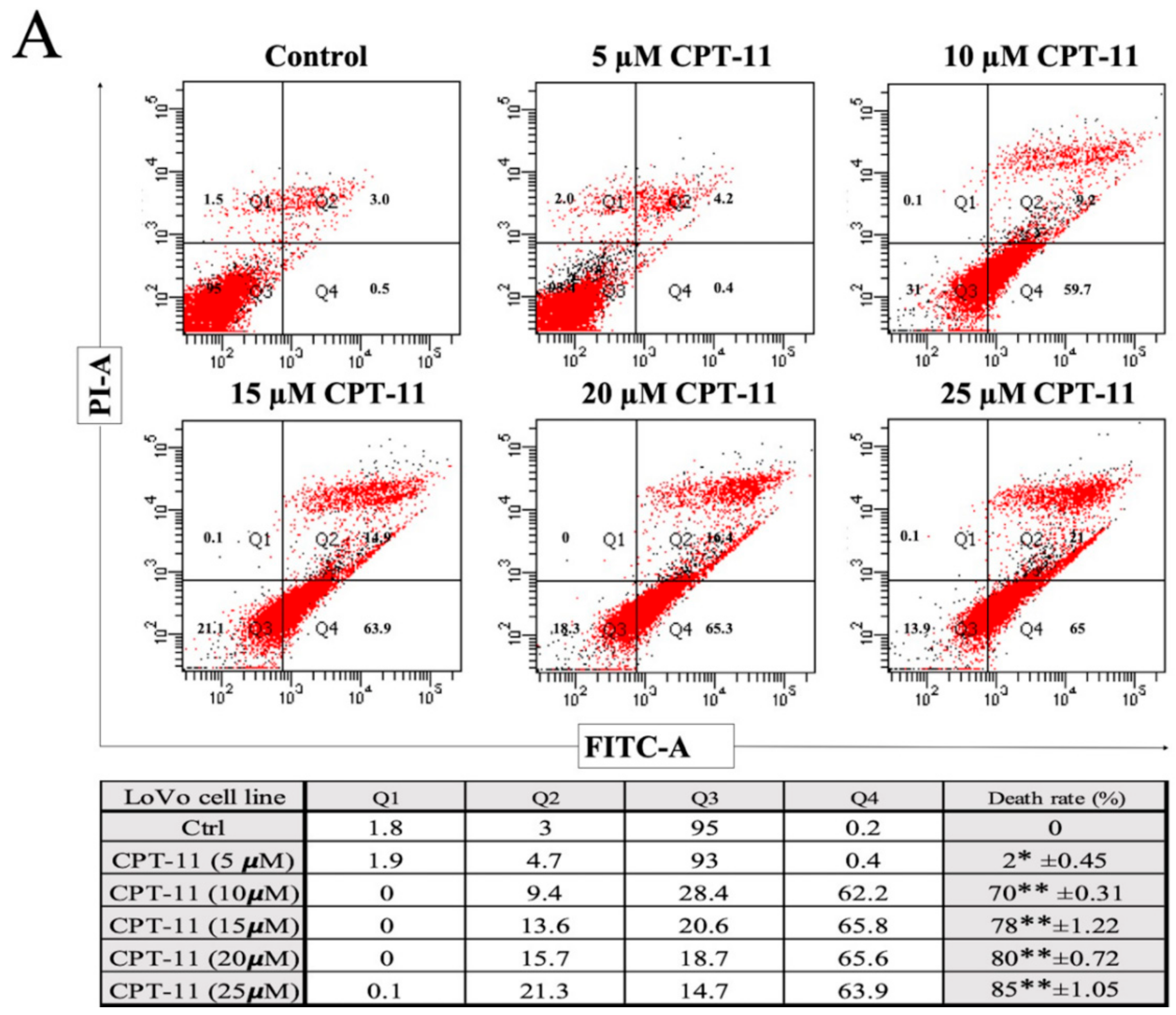 Cancers 12 01231 g002a Cancers 12 01231 g002a