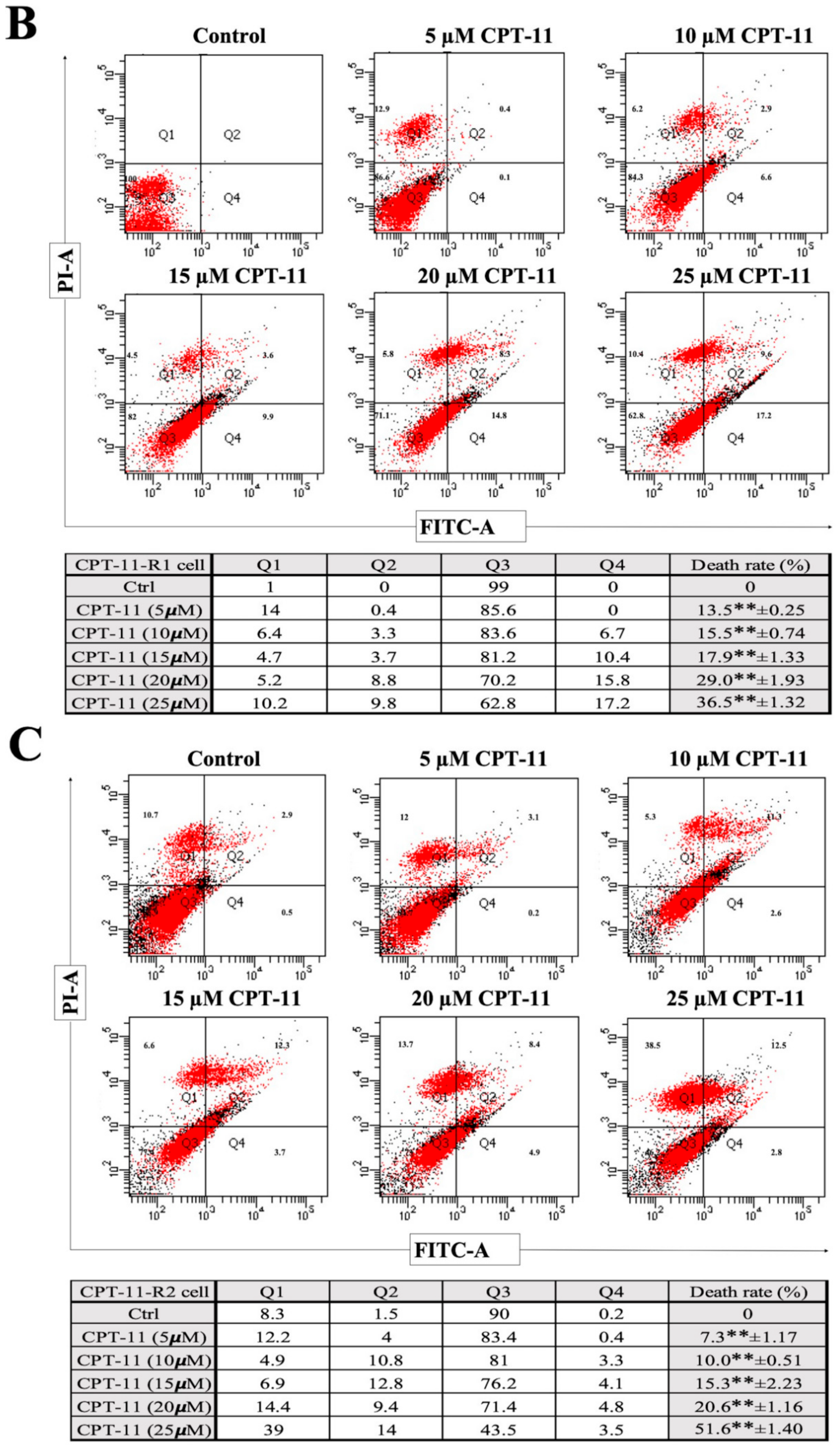 Cancers 12 01231 g002b Cancers 12 01231 g002b