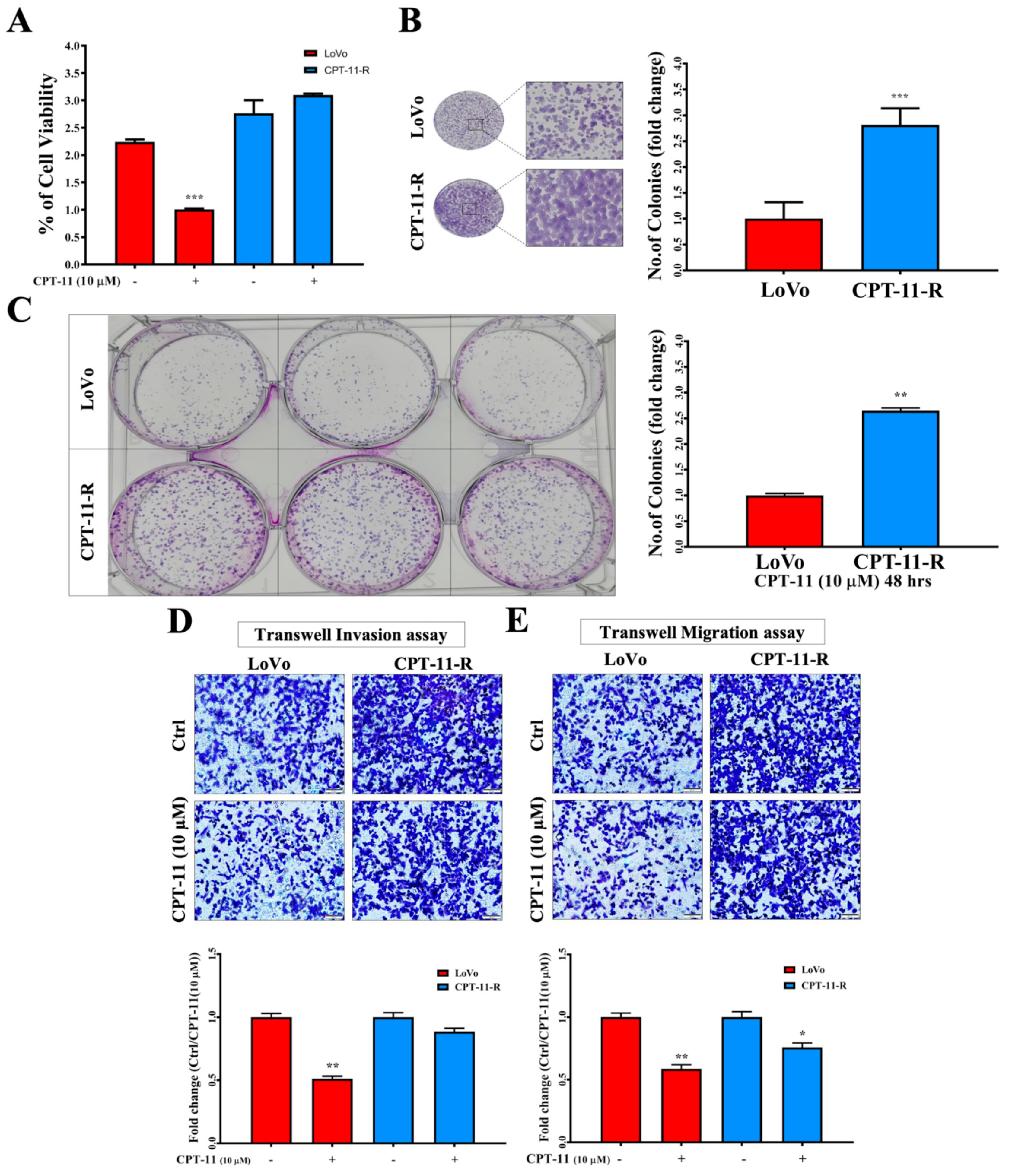 Cancers 12 01231 g003 Cancers 12 01231 g003