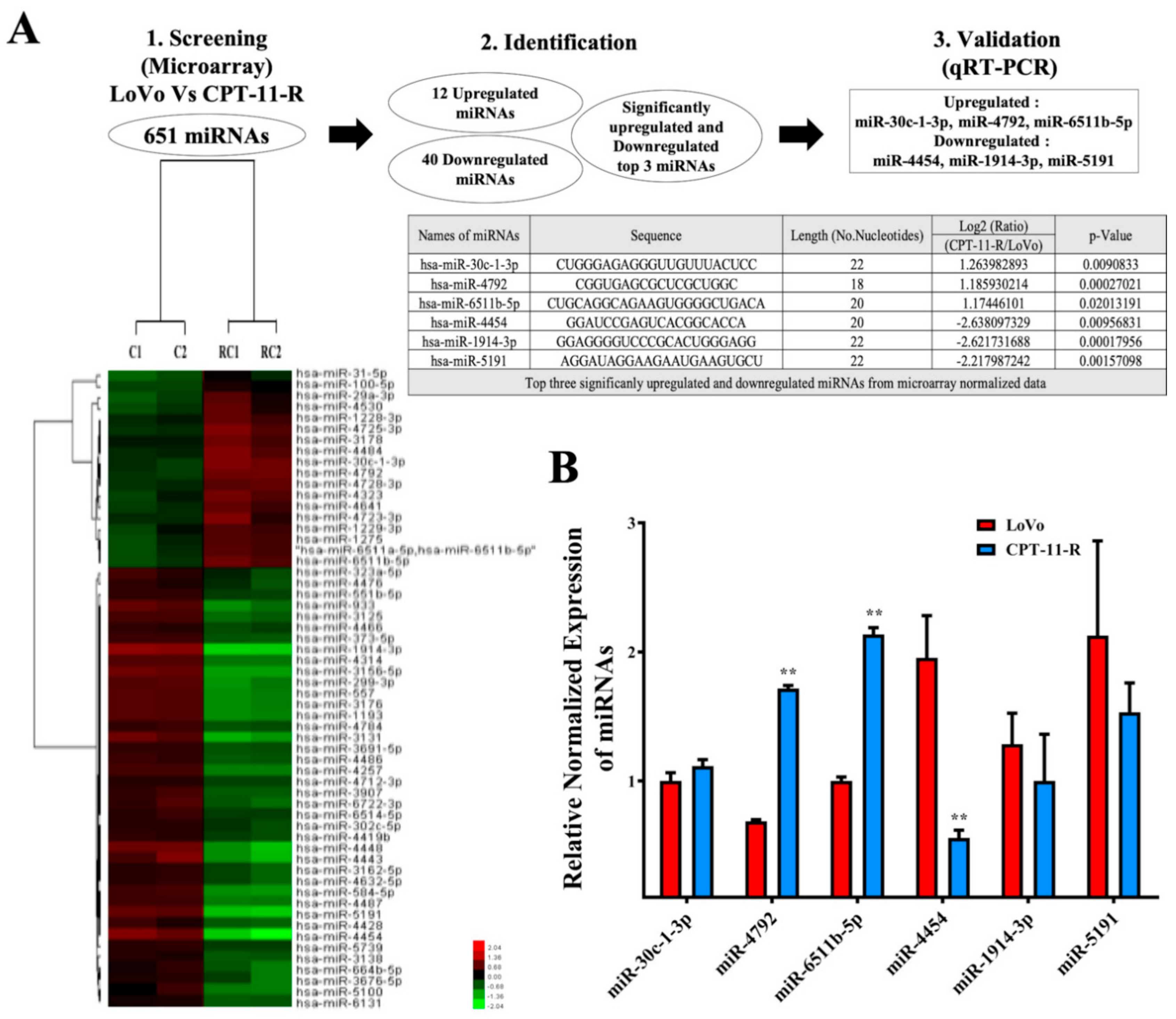 Cancers 12 01231 g004a Cancers 12 01231 g004a