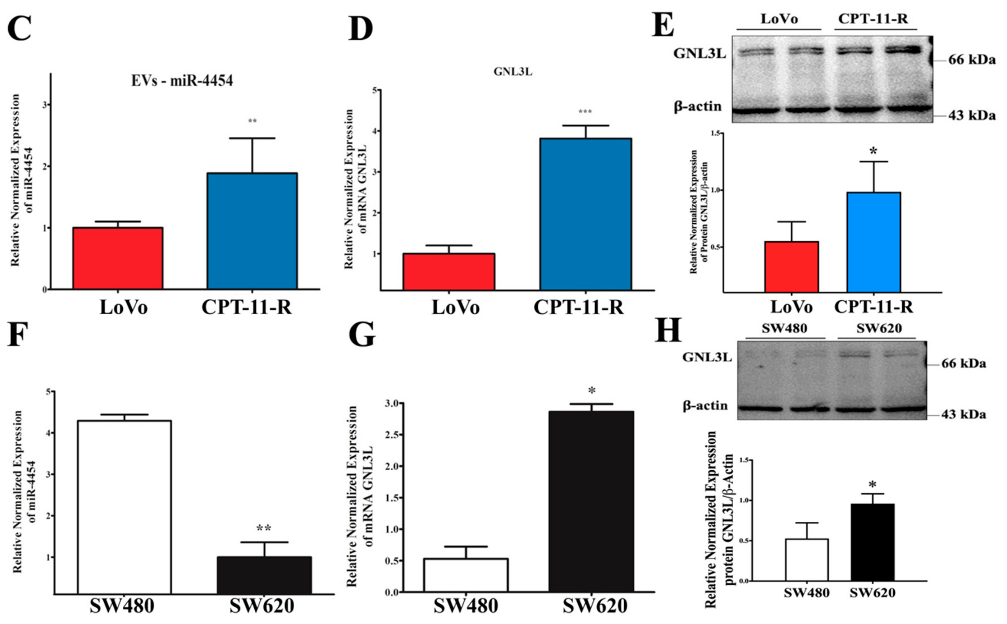 Cancers 12 01231 g004b Cancers 12 01231 g004b