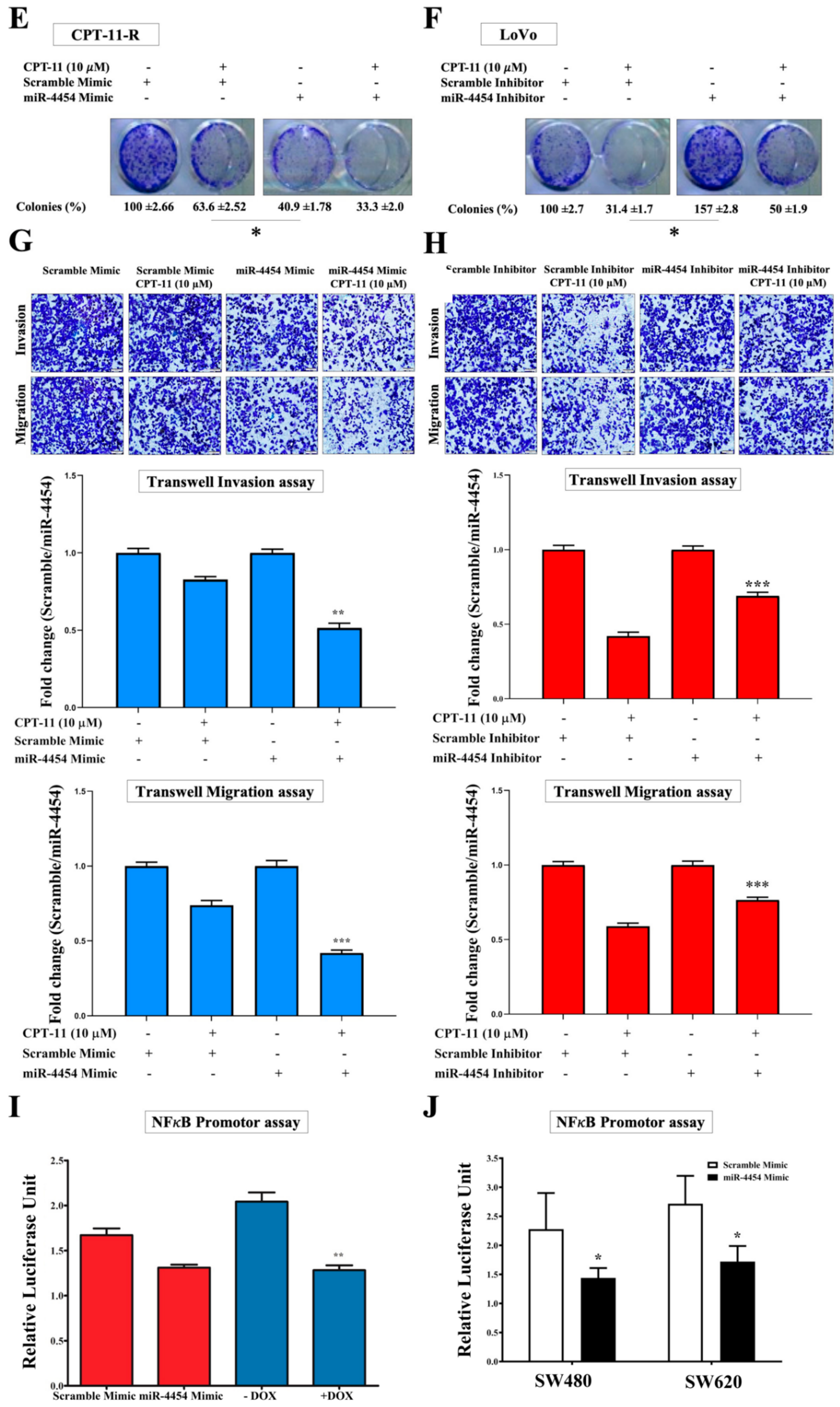 Cancers 12 01231 g006b Cancers 12 01231 g006b