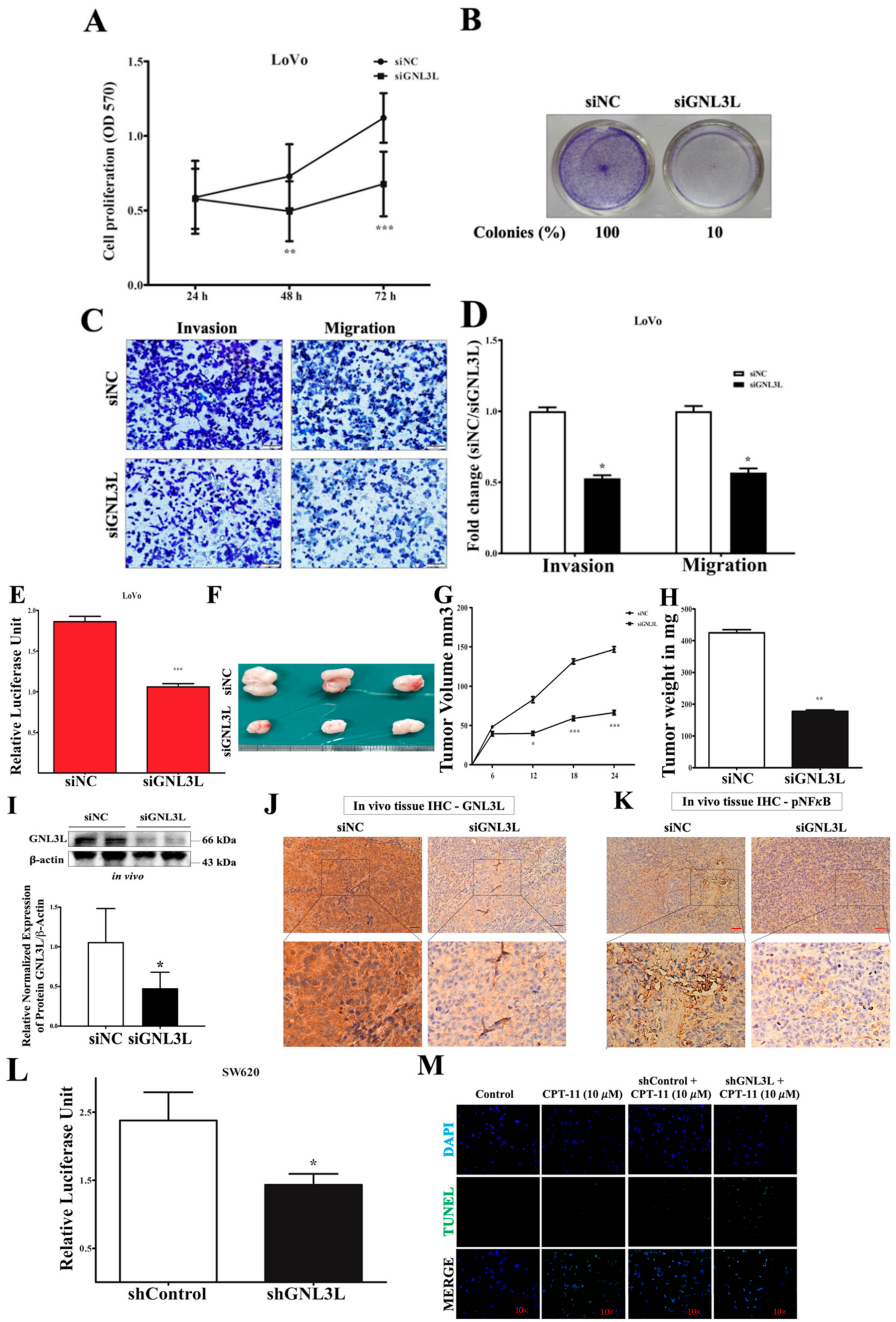 Cancers 12 01231 g007a Cancers 12 01231 g007a