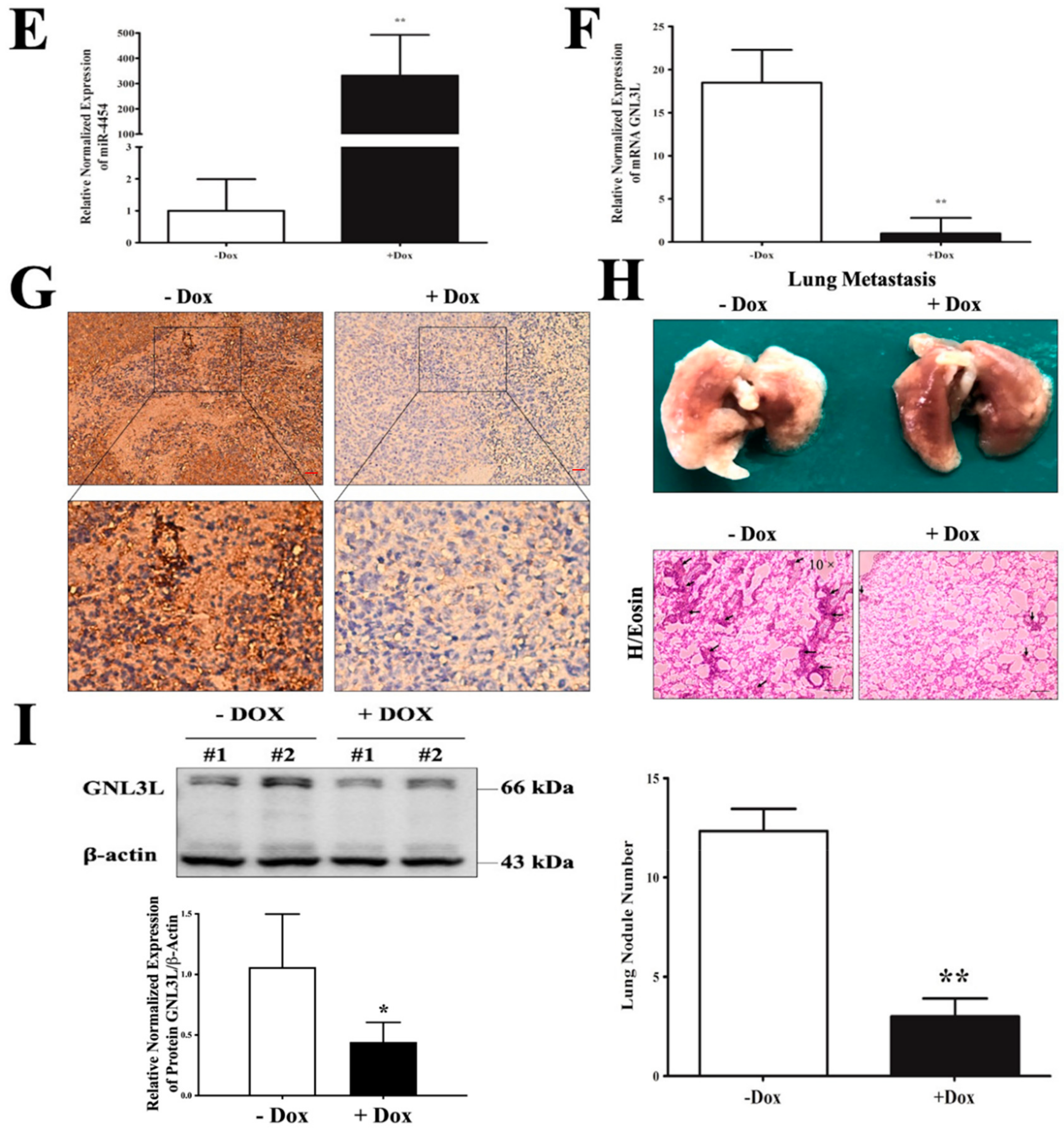 Cancers 12 01231 g008b Cancers 12 01231 g008b