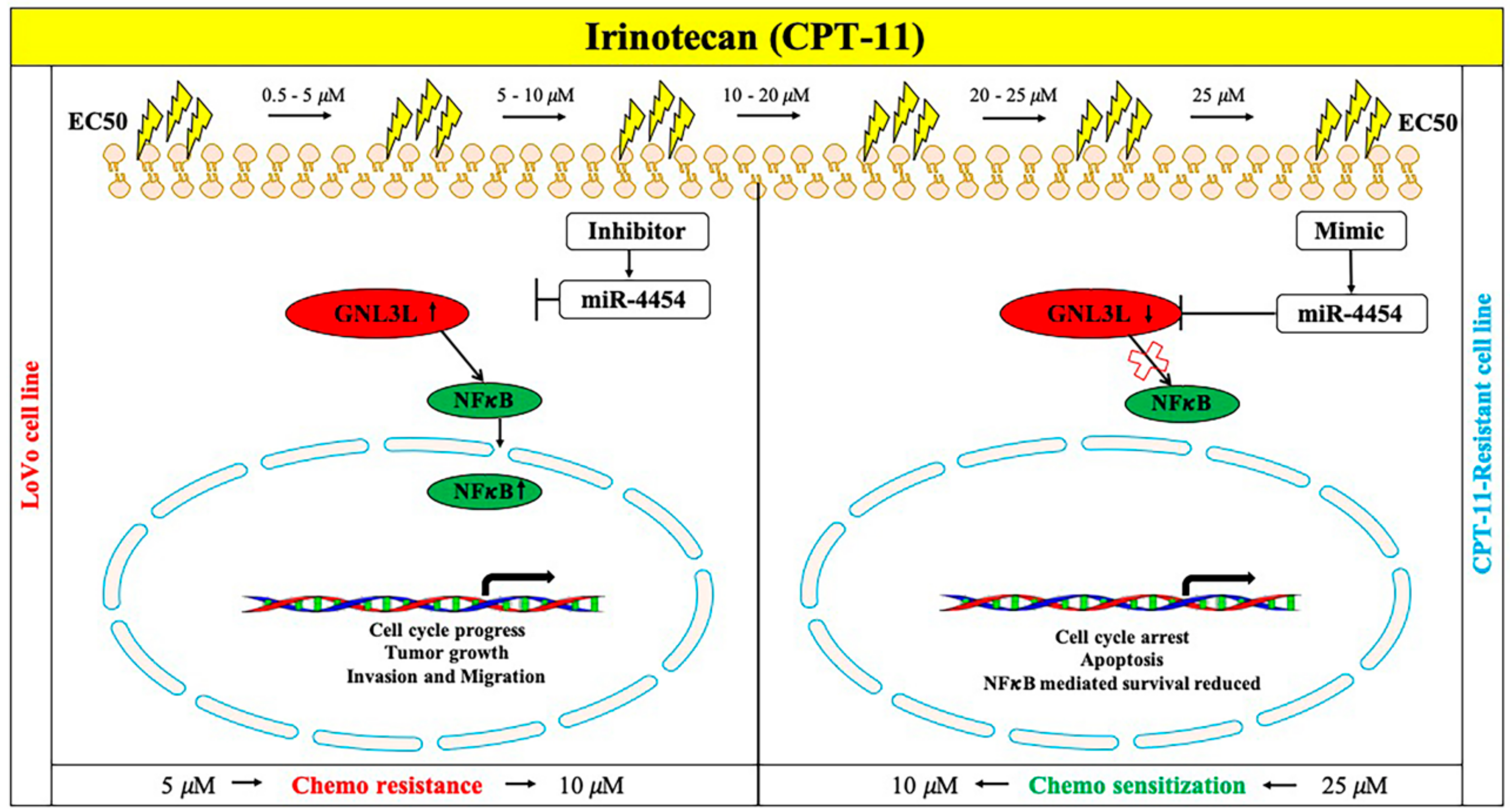 Cancers 12 01231 g009 Cancers 12 01231 g009