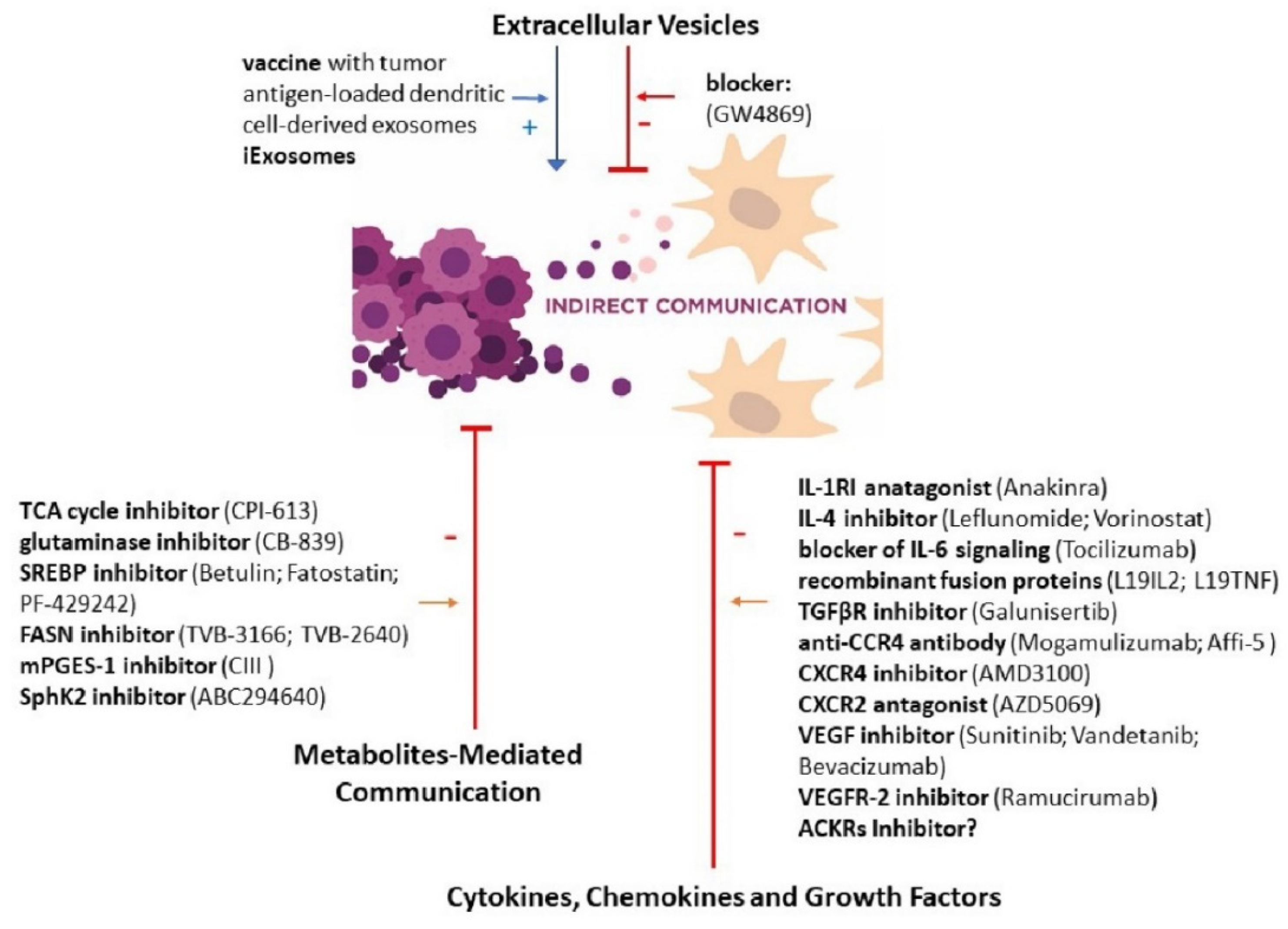 Cancers Free Full Text Communication In The Cancer Microenvironment As A Target For Therapeutic Interventions Html