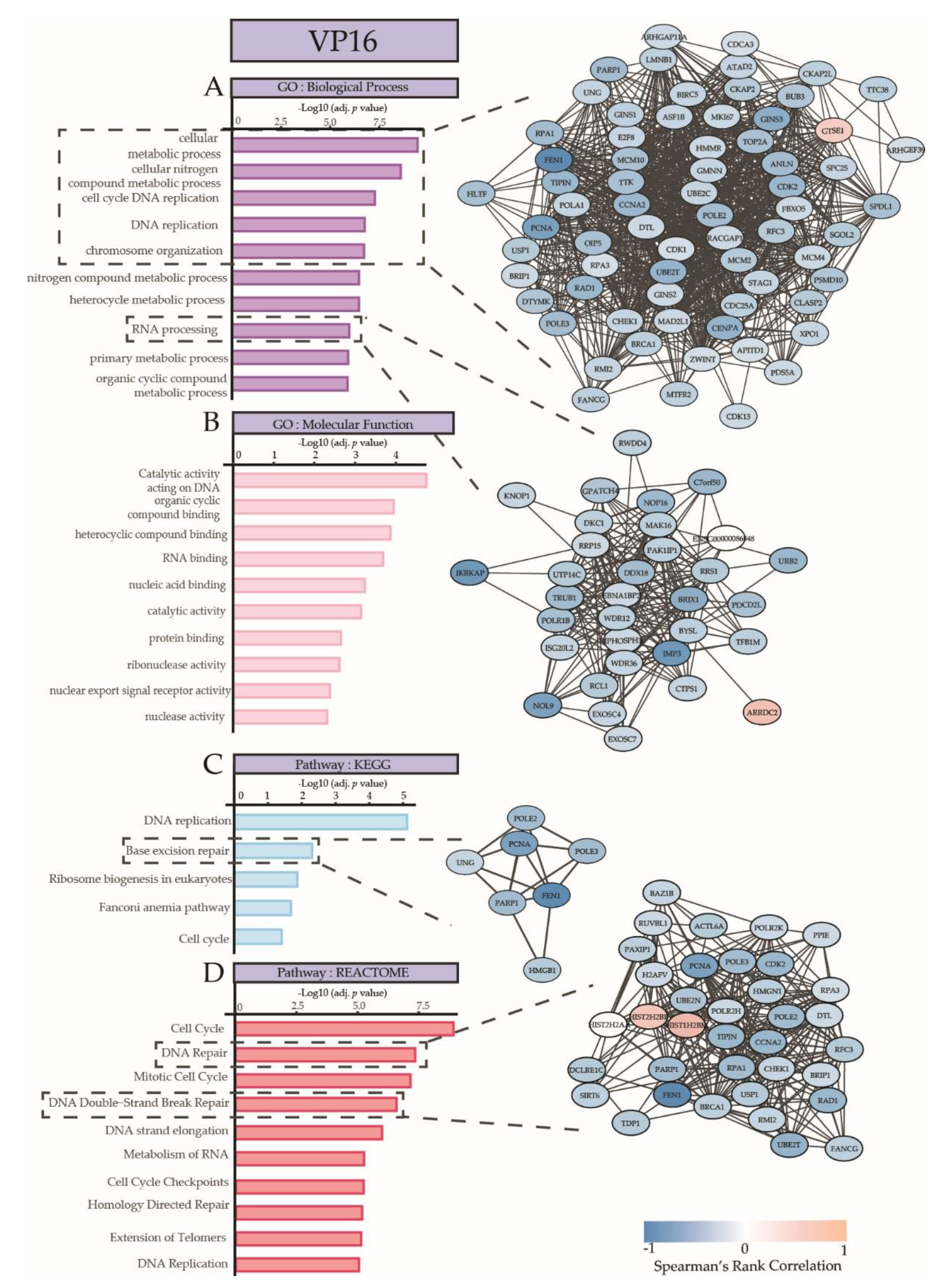Cancers 12 01247 g005