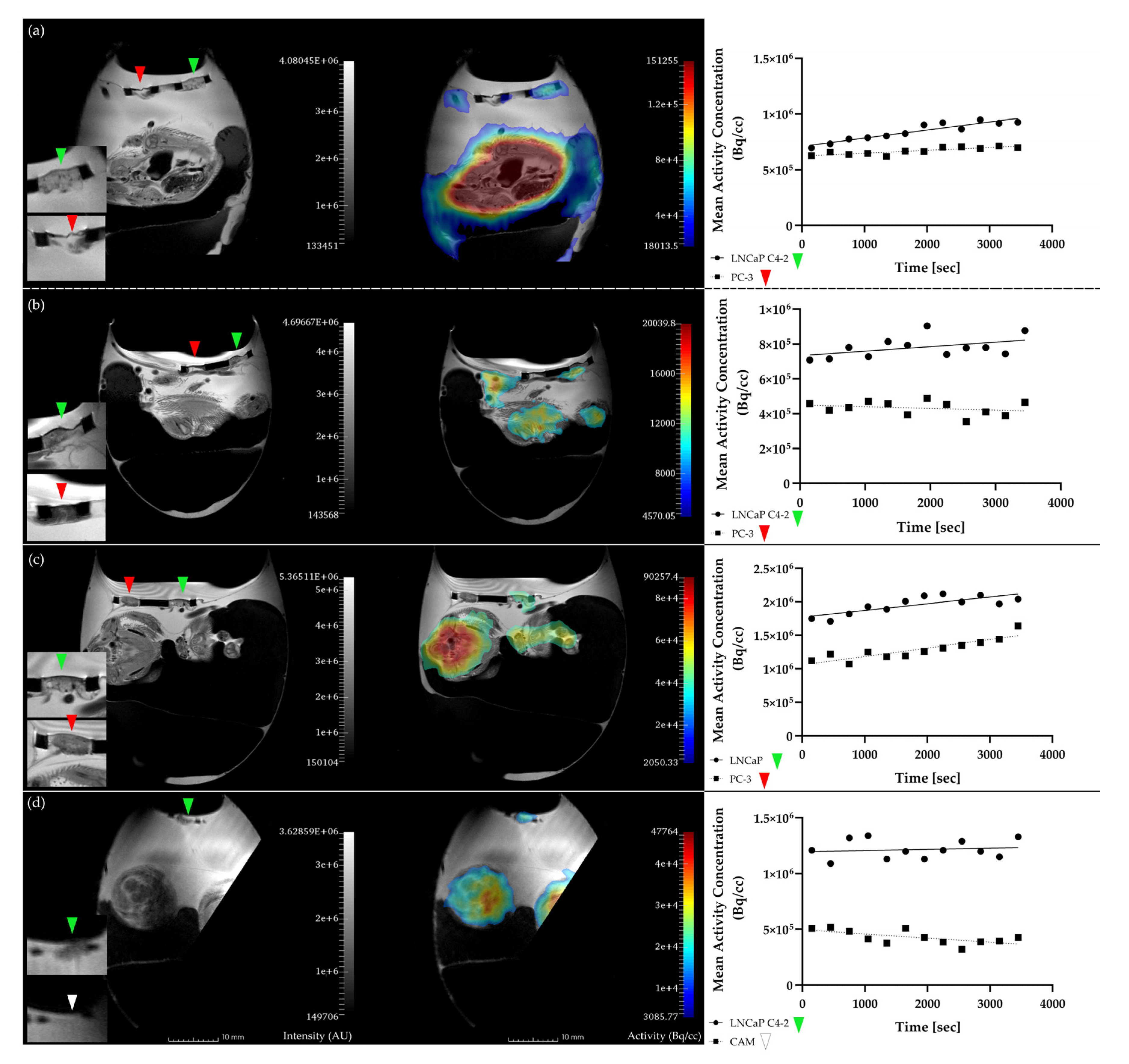 Cancers 12 01248 g002 Cancers 12 01248 g002