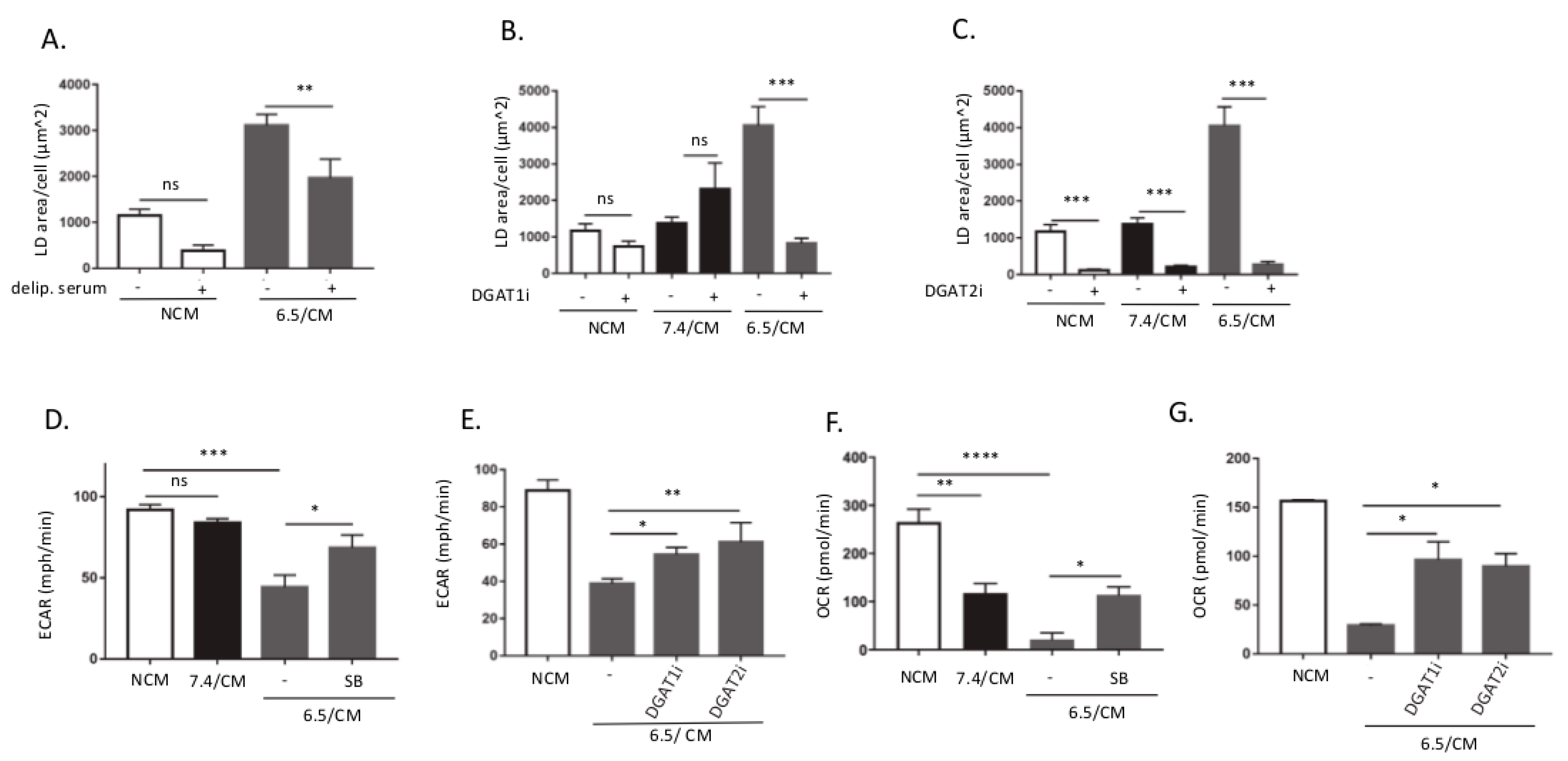 Cancers Free Full Text Acidosis Induced Tgf β2 Production Promotes Lipid Droplet Formation 