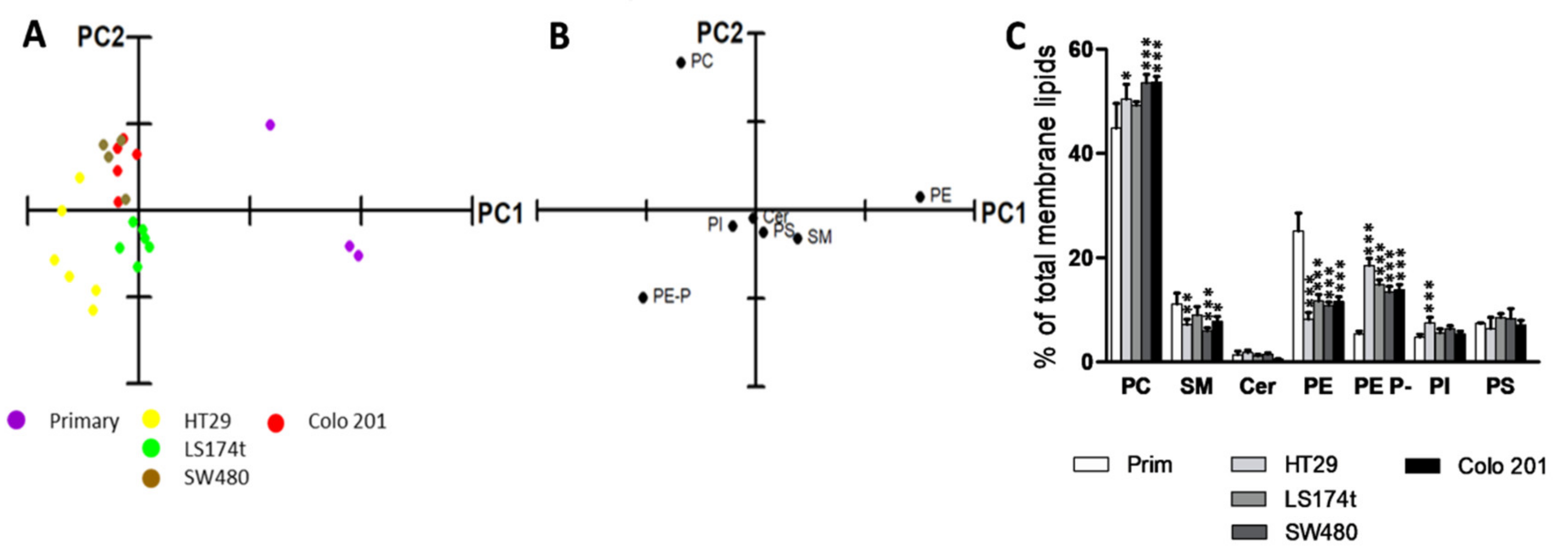 Cancers 12 01293 g001