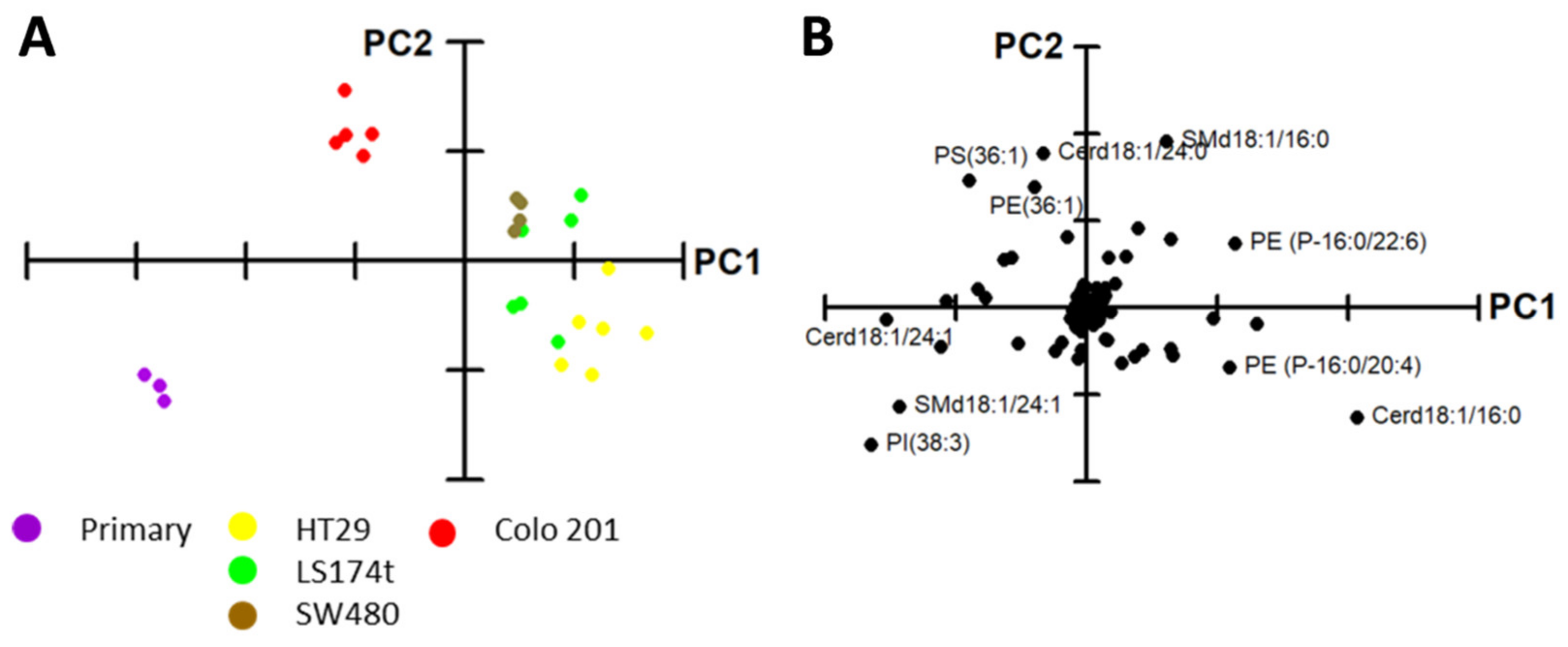 Cancers 12 01293 g002