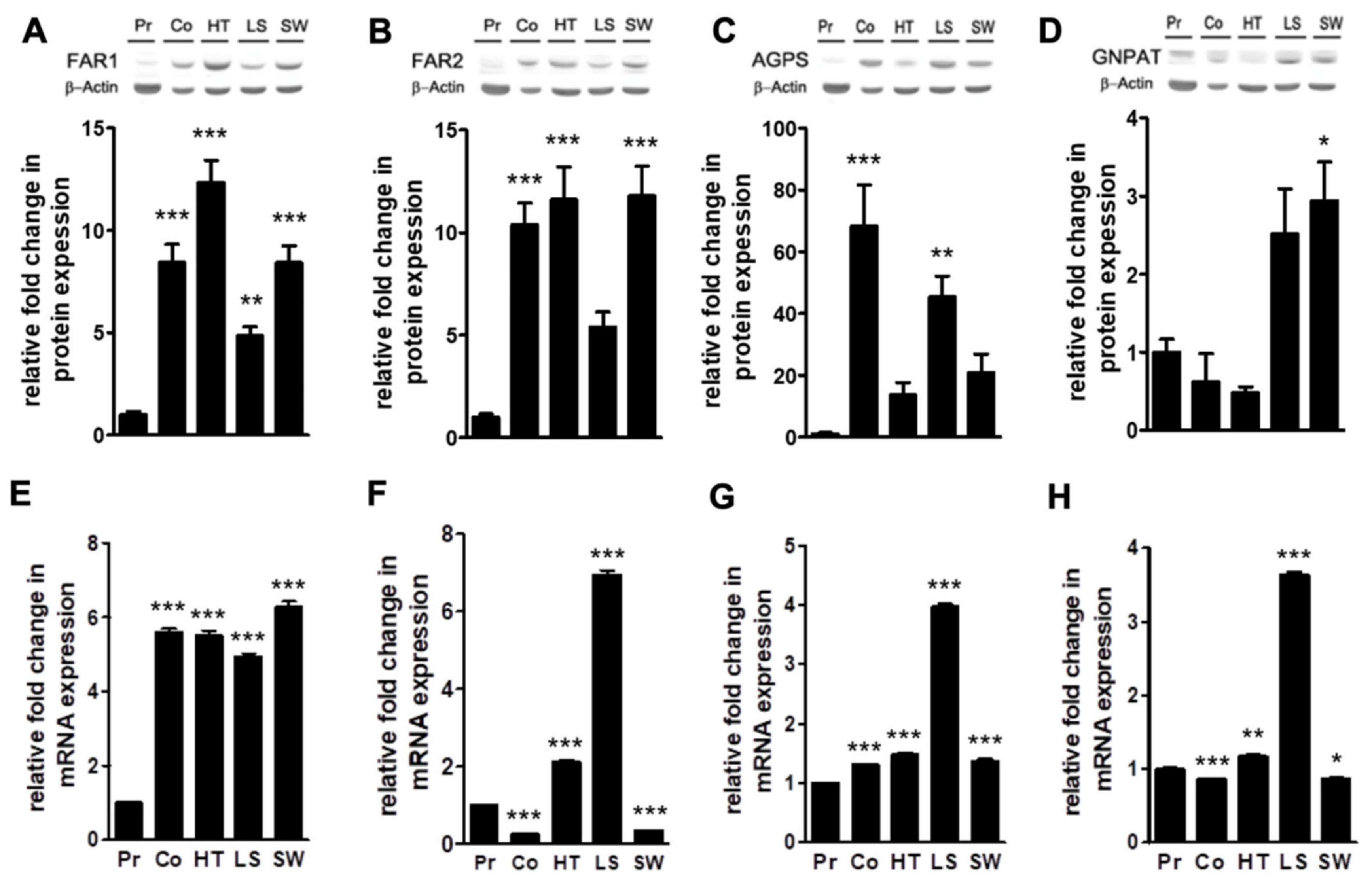 Cancers 12 01293 g005