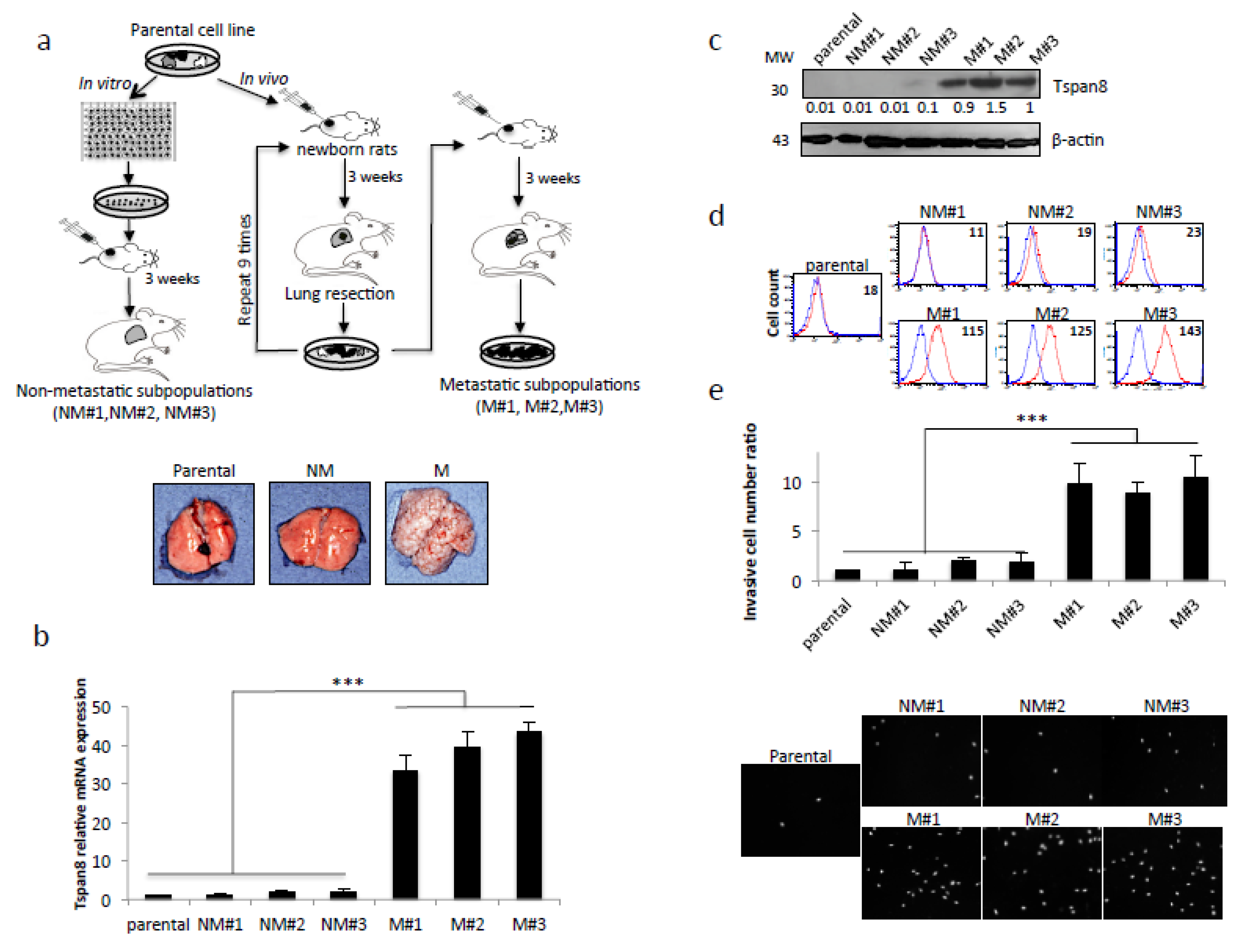 Cancers 12 01297 g001 Cancers 12 01297 g001