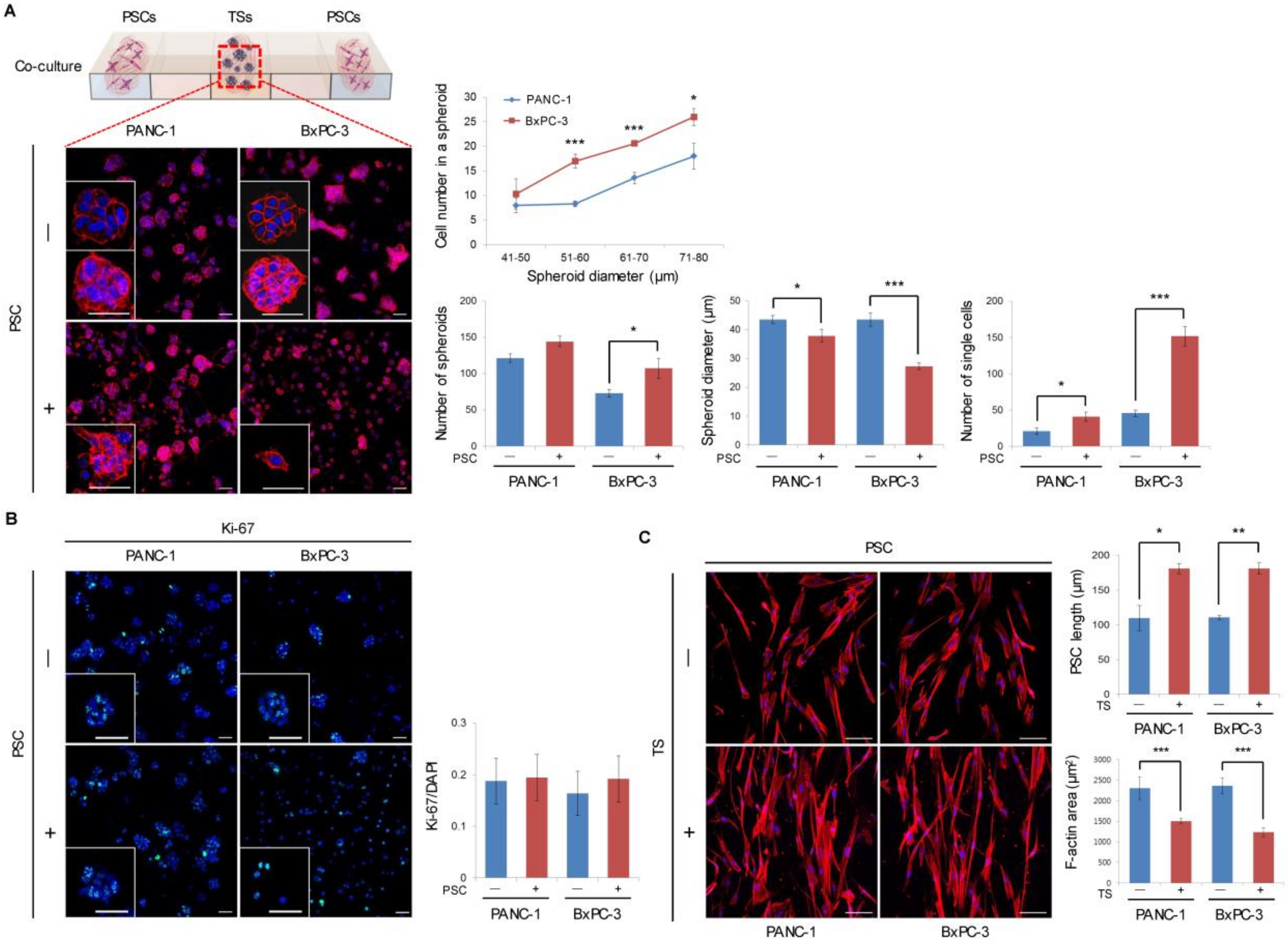 Cancers 12 01305 g001