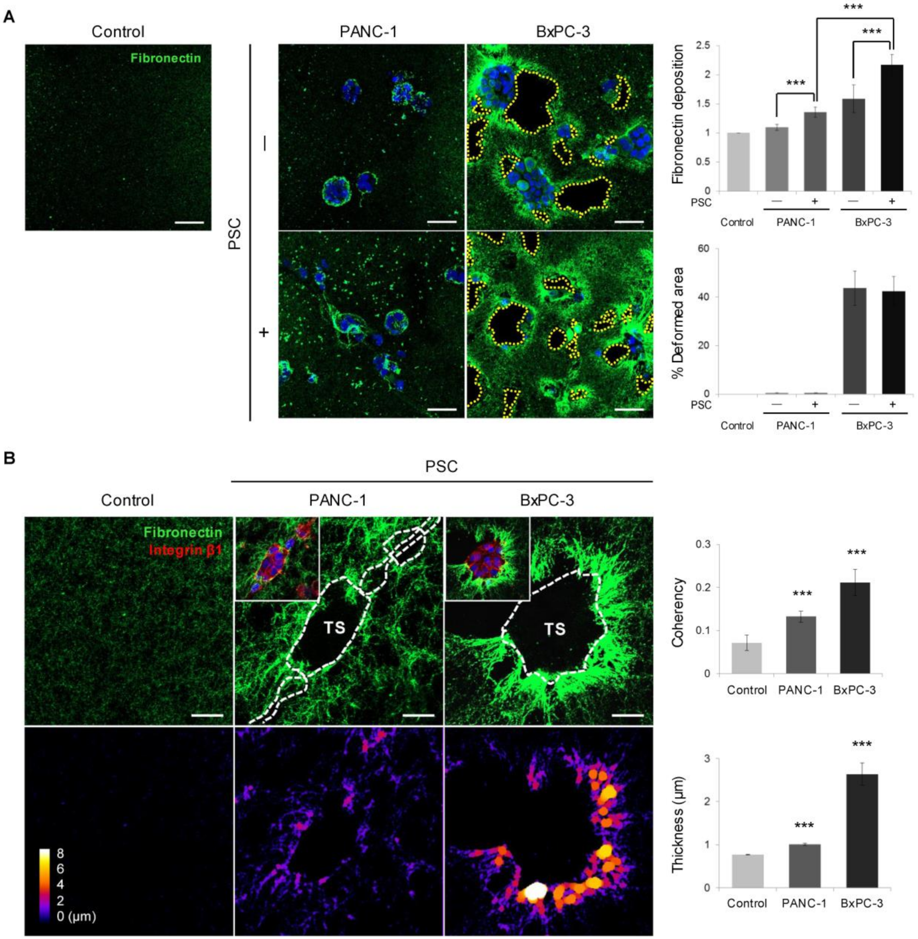 Cancers 12 01305 g005
