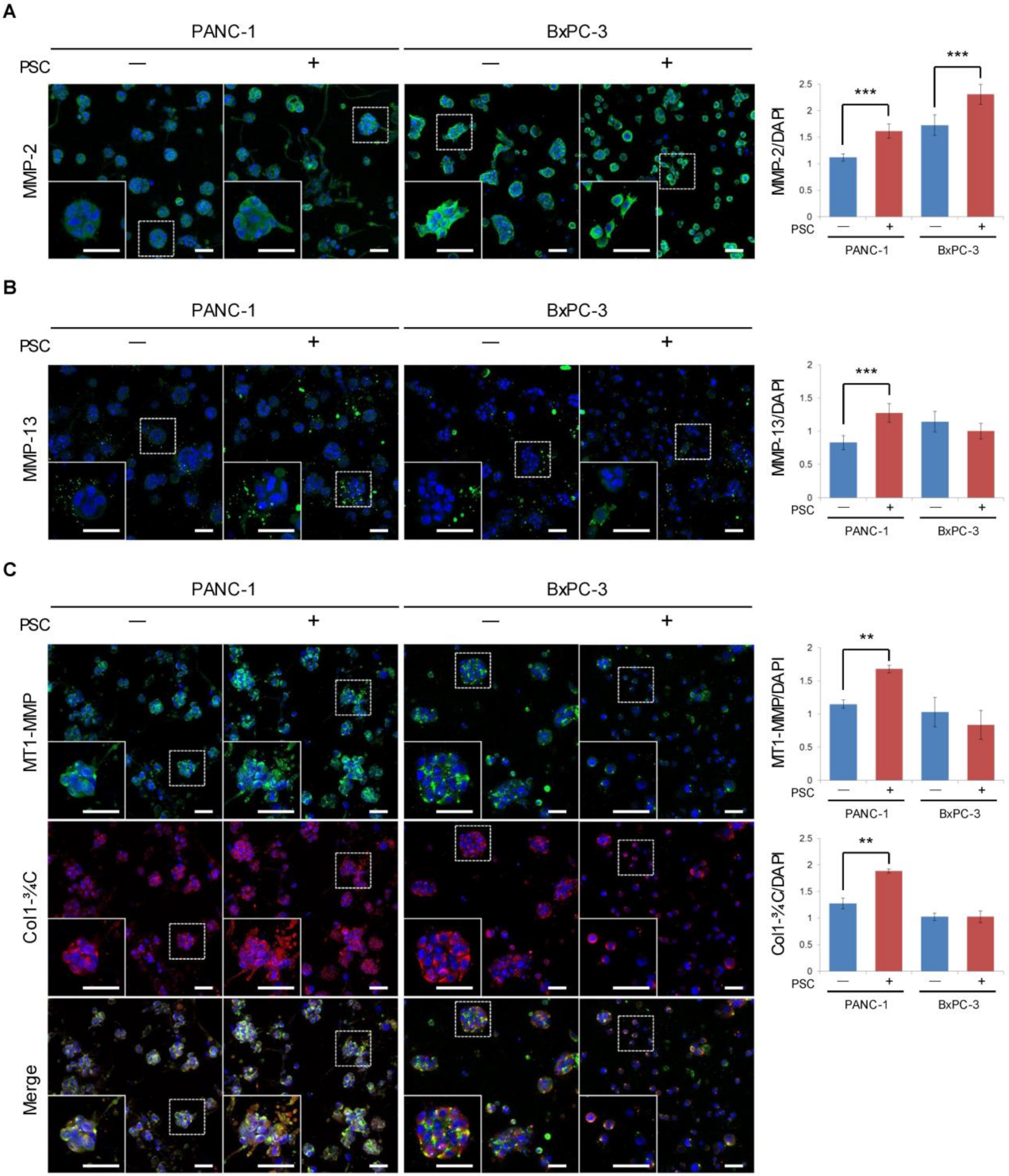 Cancers 12 01305 g006