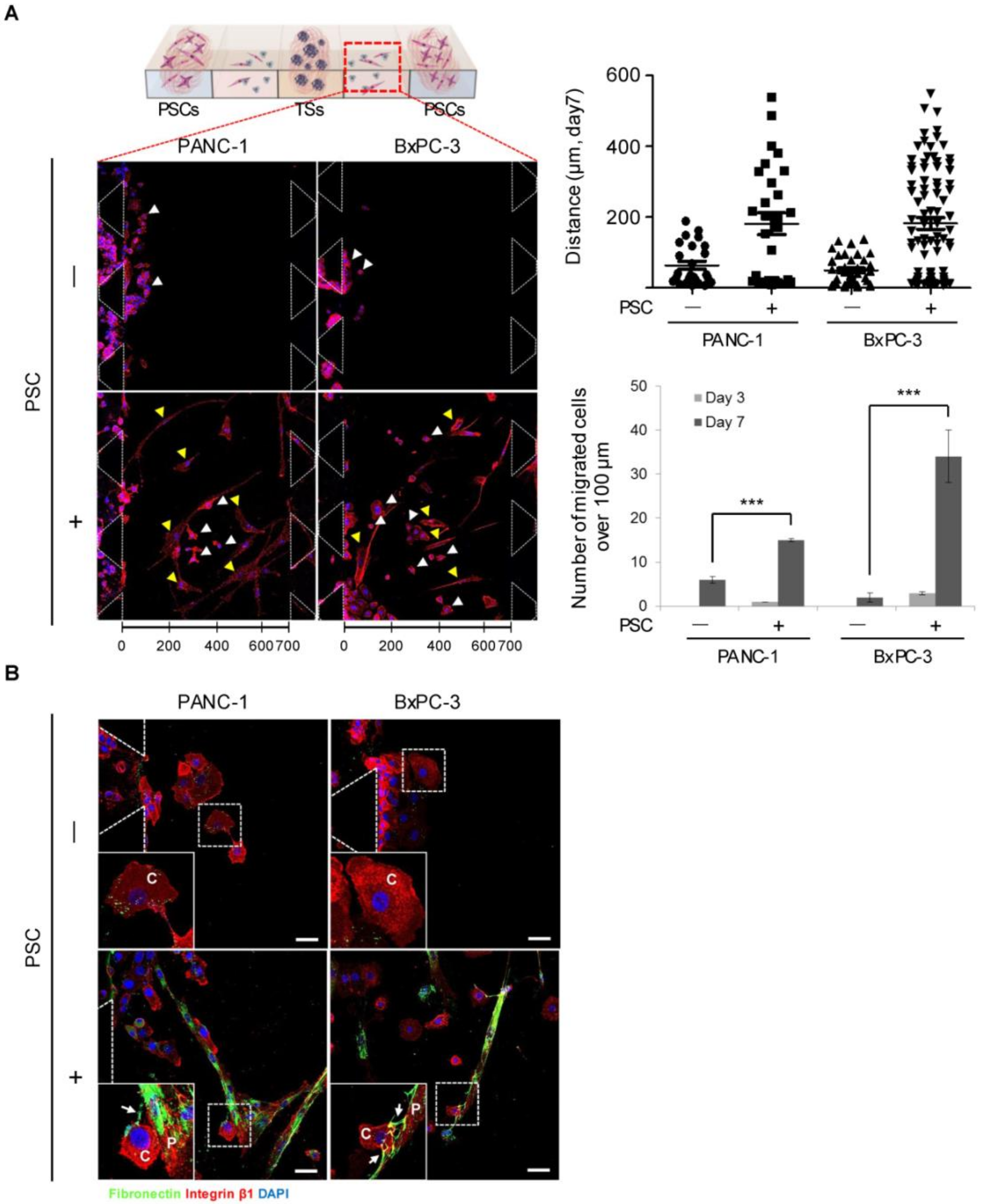 Cancers 12 01305 g007