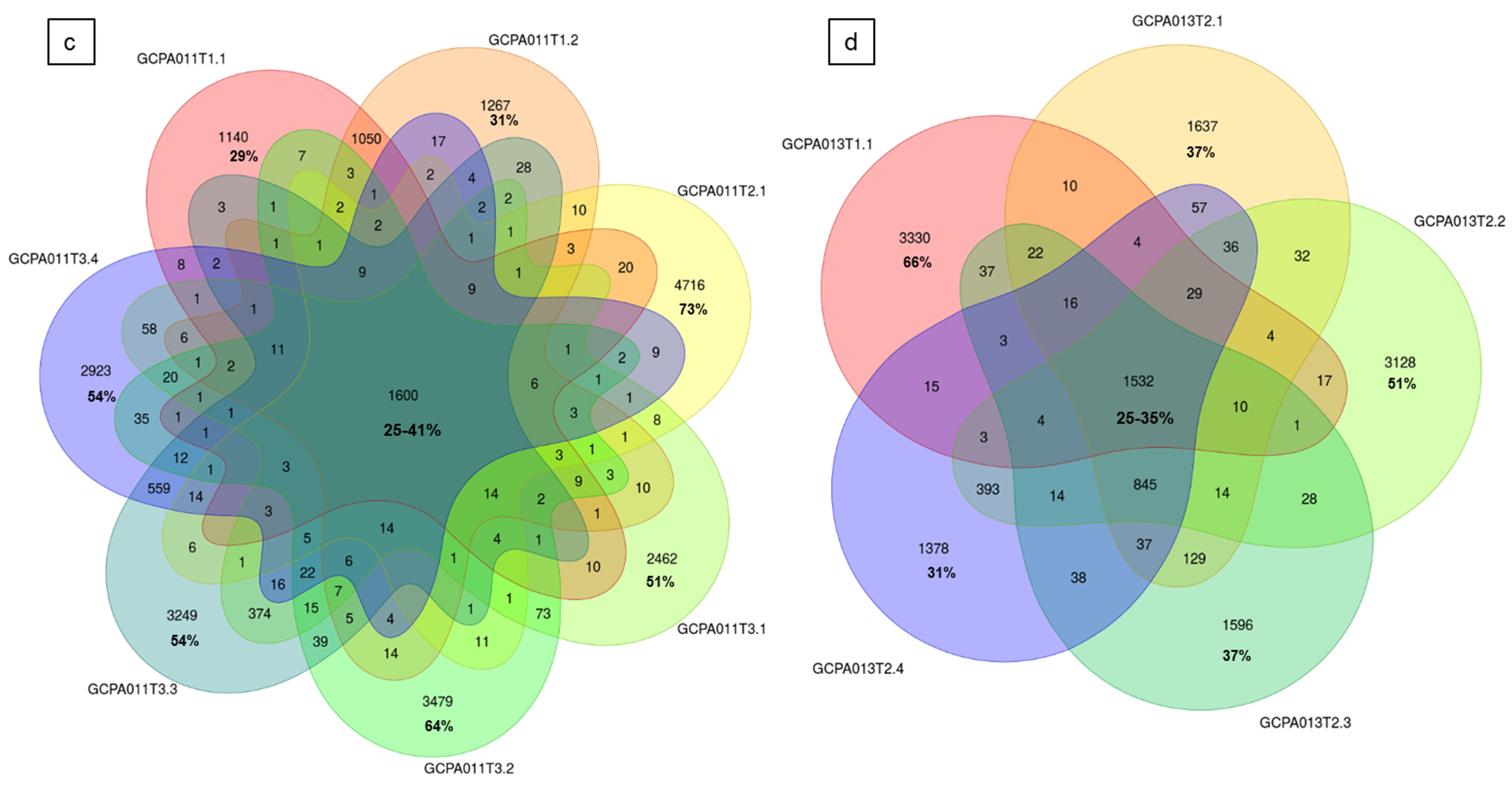 Cancers 12 01308 g005b
