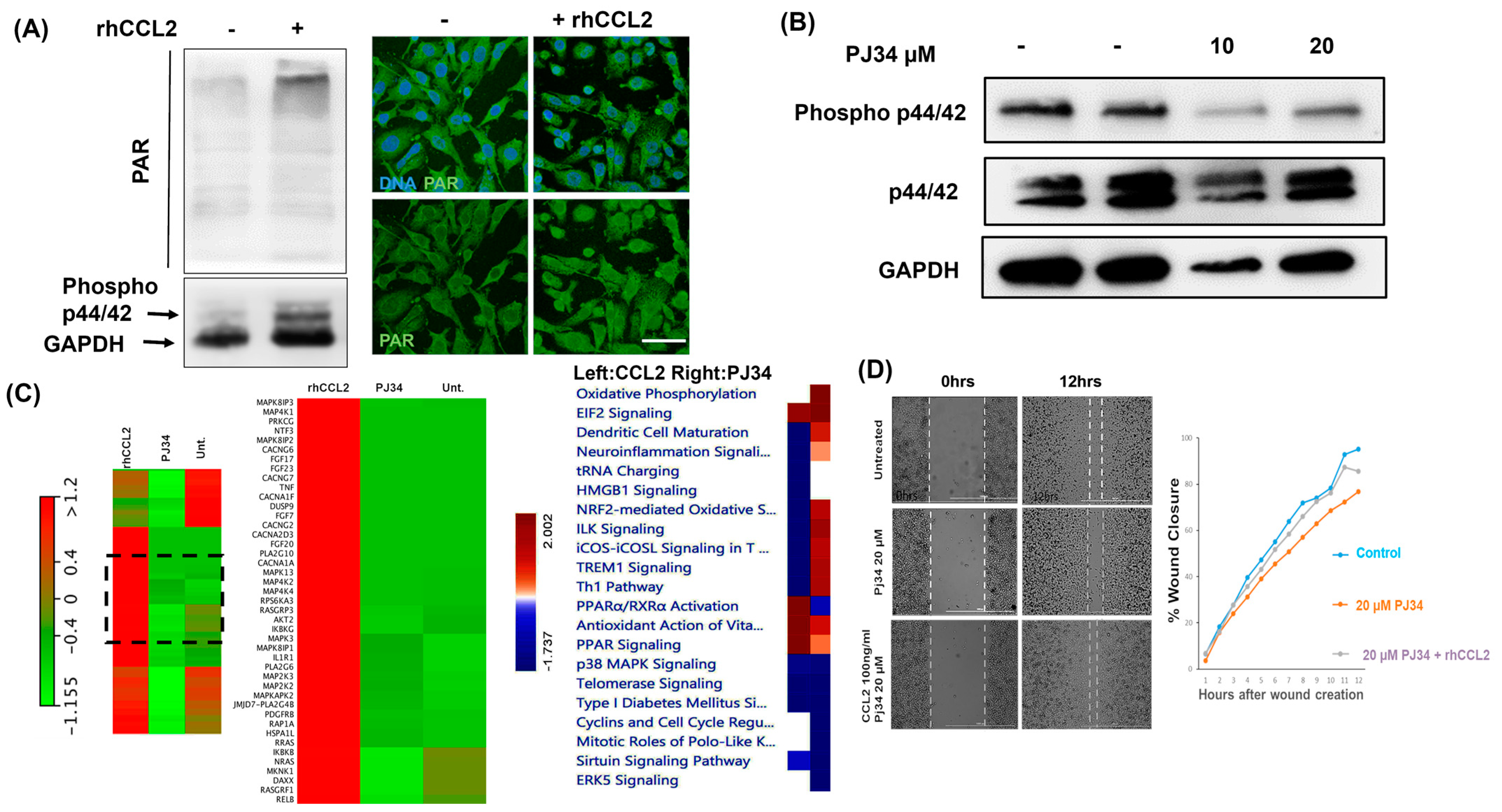Cancers 12 01317 g005