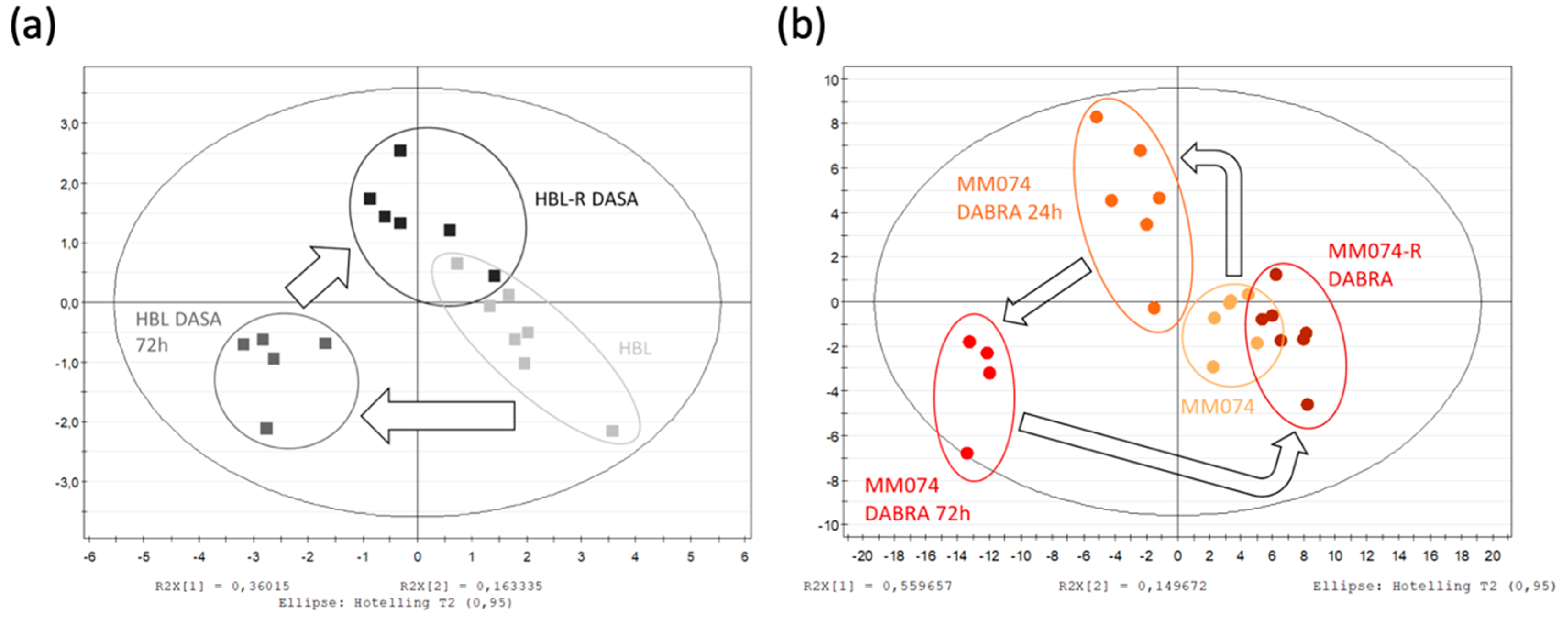 Cancers 12 01323 g002a