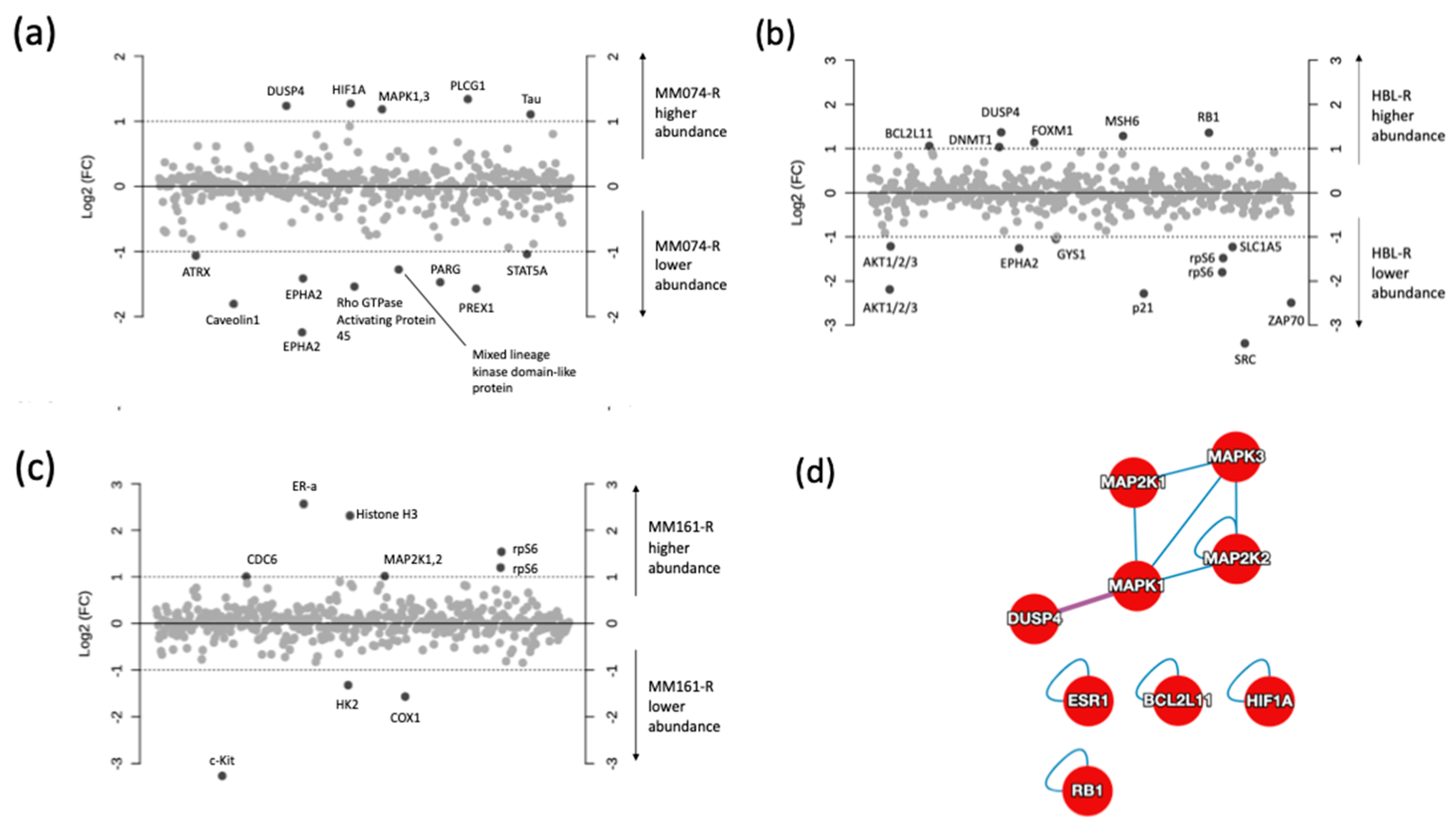 Cancers 12 01323 g004a