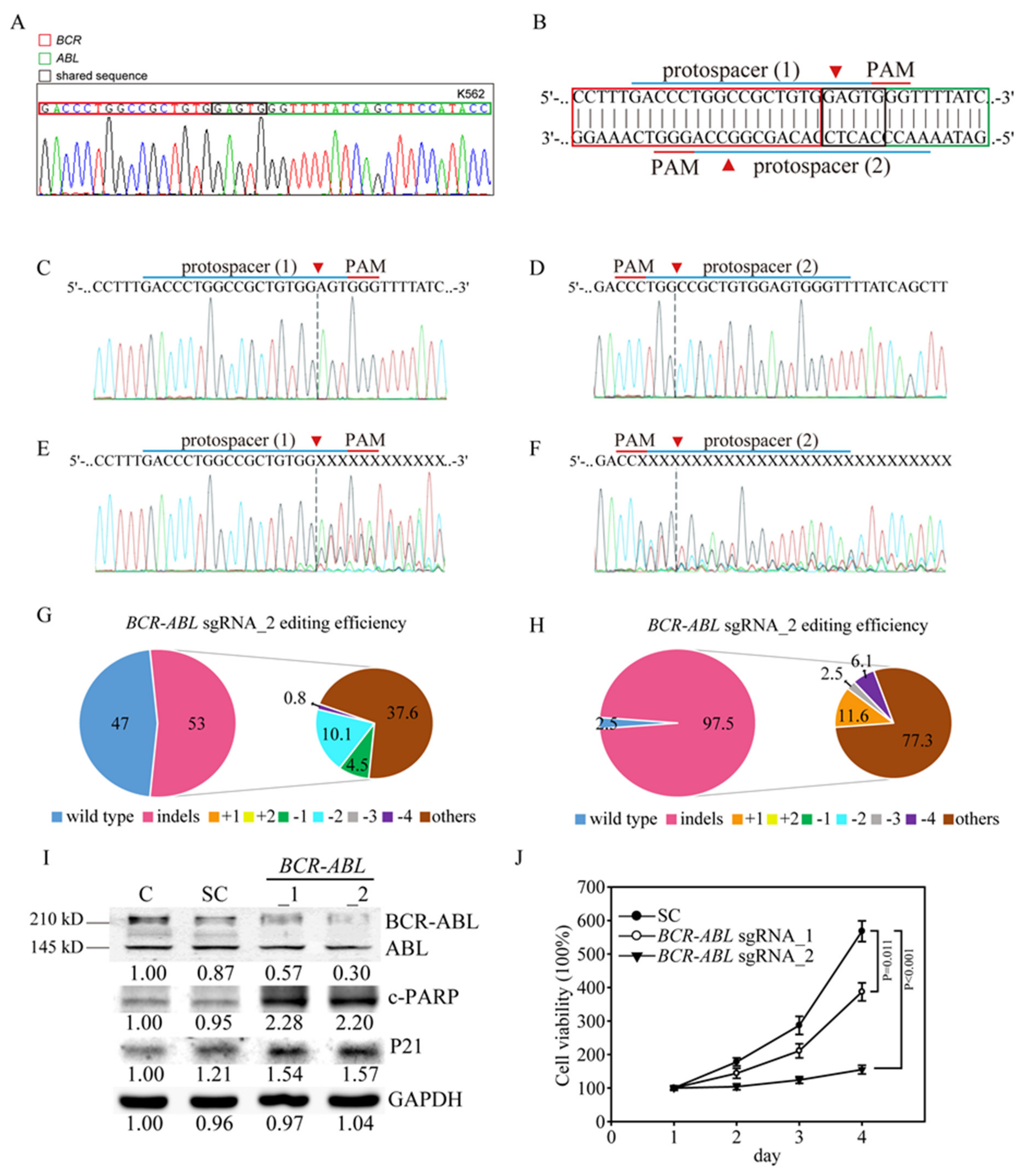 feng zhang mit dna master editor