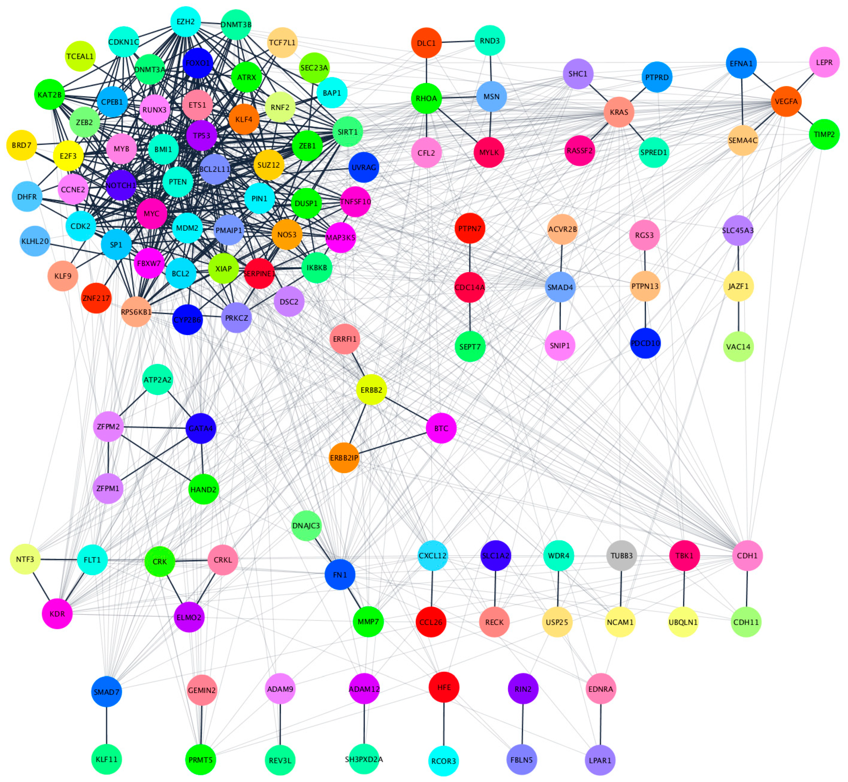 Cancers 12 01450 g005