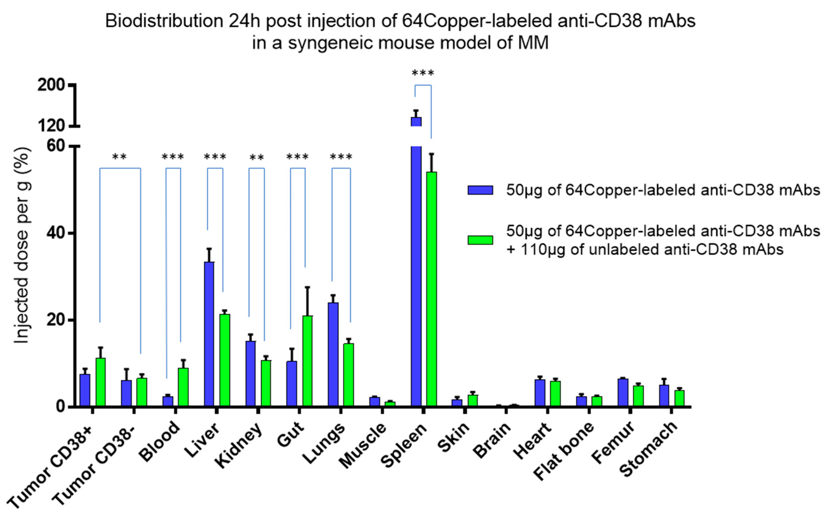 Cancers 12 01467 g001 Cancers 12 01467 g001