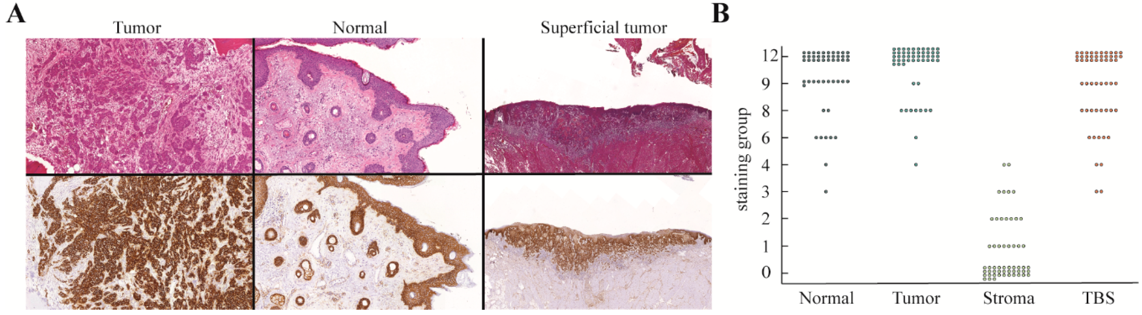 Cancers 12 01474 g001 Cancers 12 01474 g001