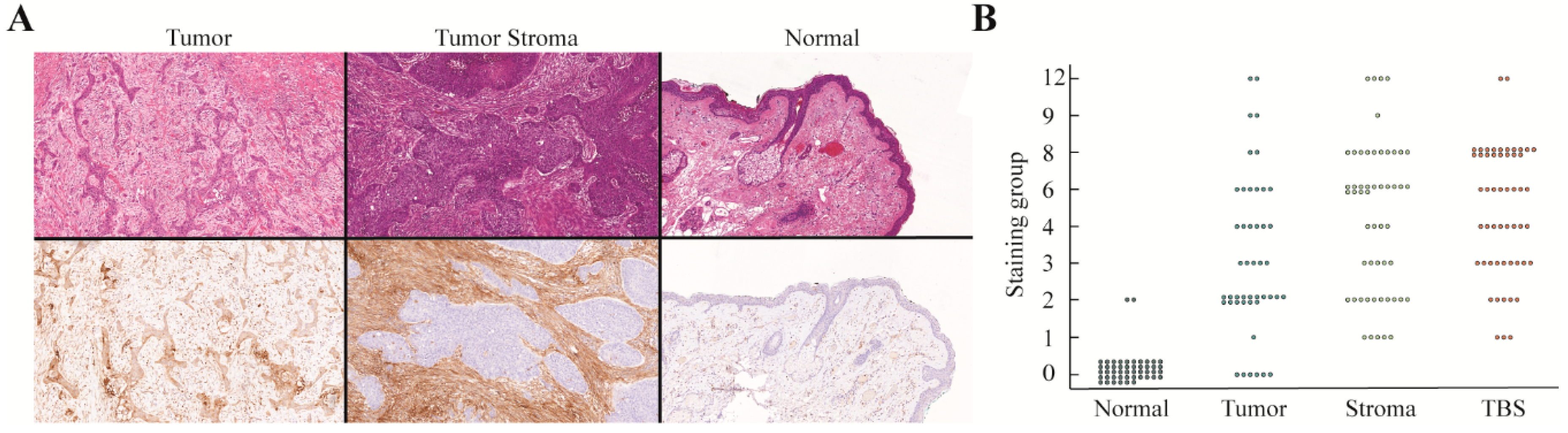 Cancers 12 01474 g003 Cancers 12 01474 g003