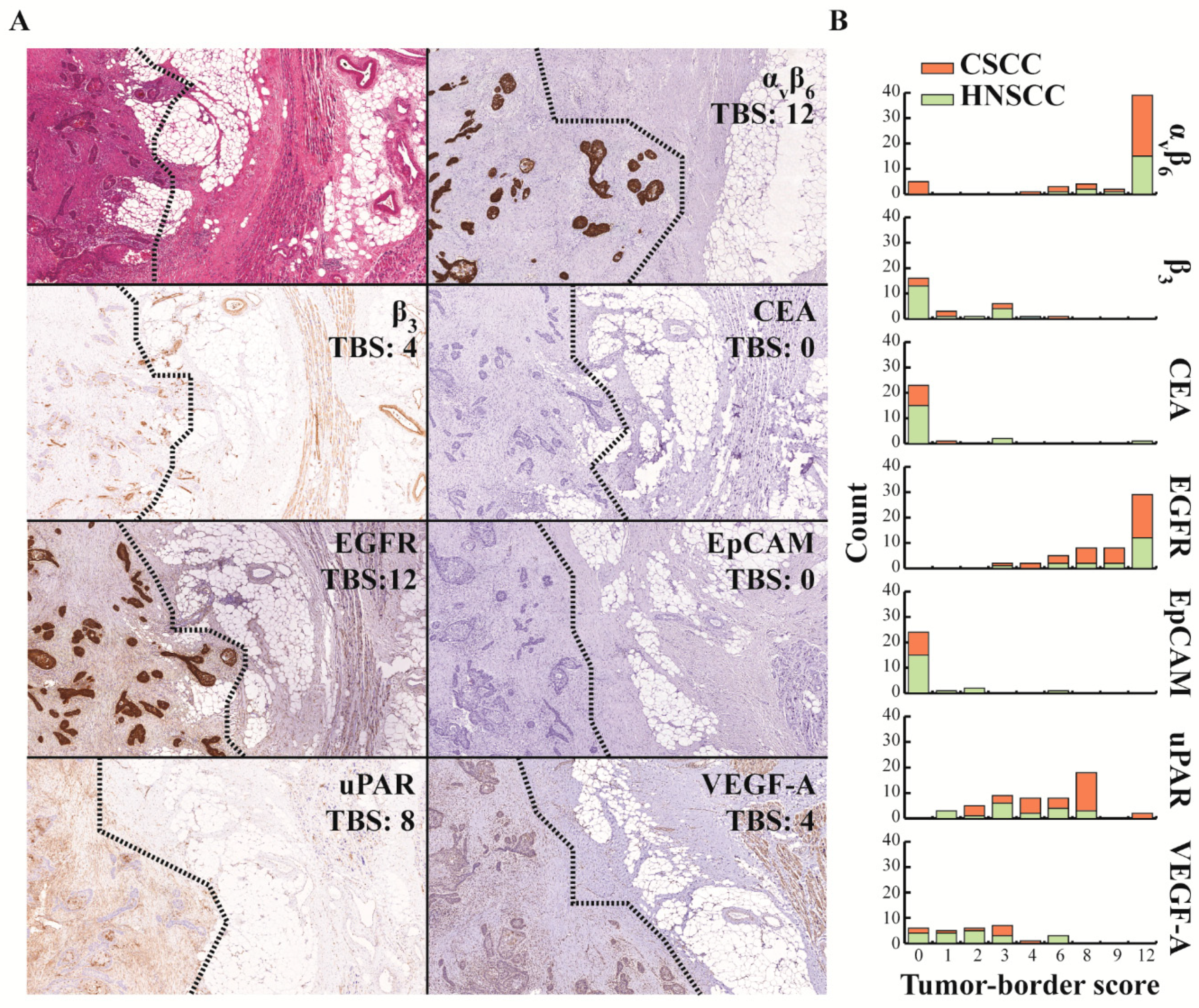 Cancers 12 01474 g004 Cancers 12 01474 g004