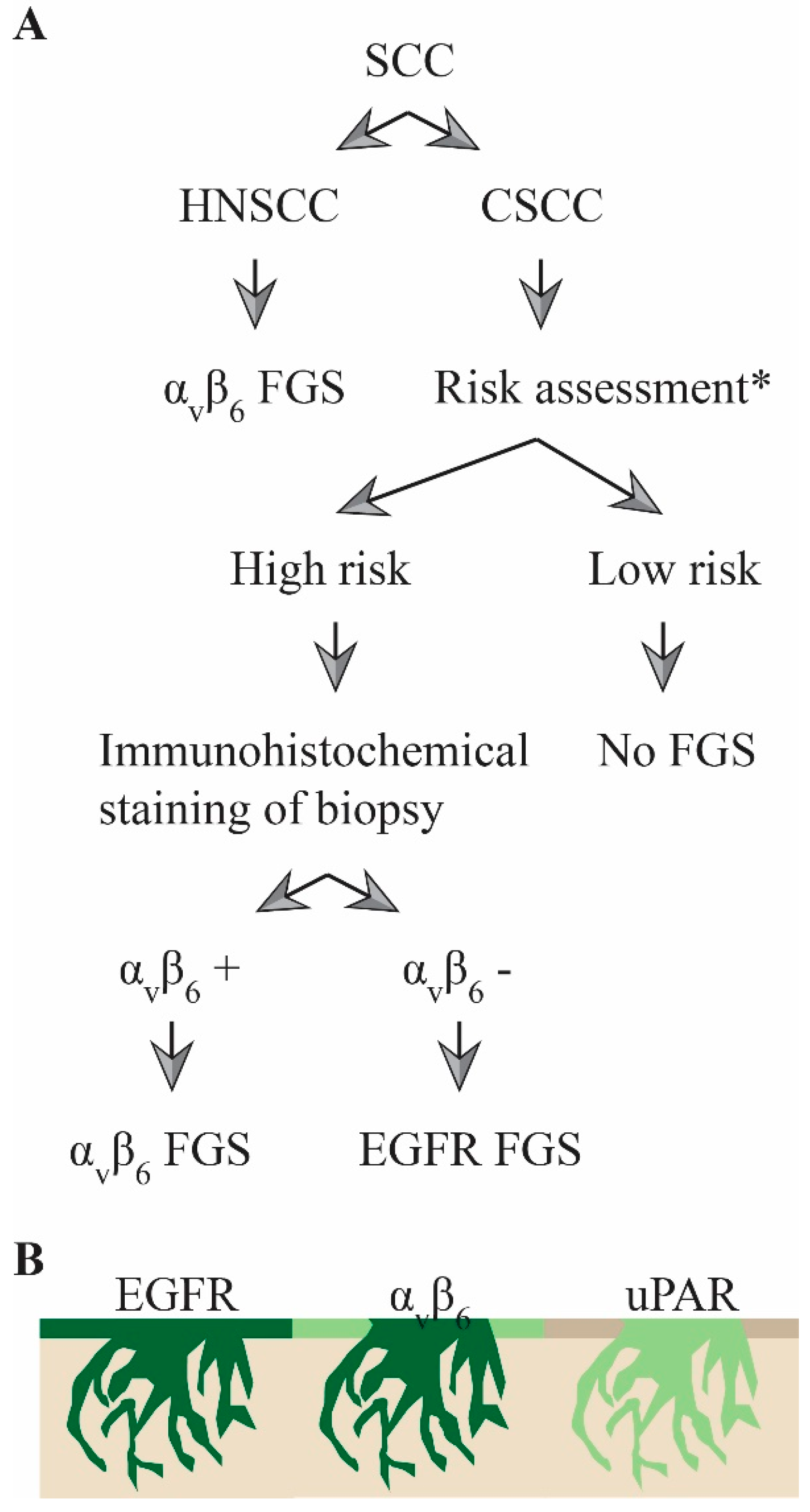 Cancers 12 01474 g005 Cancers 12 01474 g005