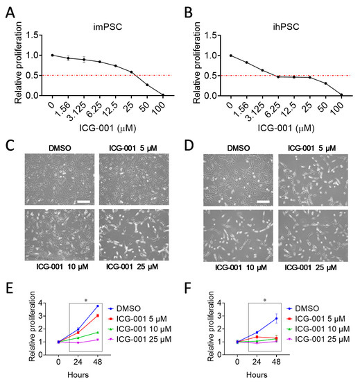 Cancers Free Full Text Targeting The Cbp B Catenin Interaction To Suppress Activation Of Cancer Promoting Pancreatic Stellate Cells Html