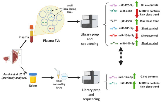 Cancers | Free Full-Text | Small Non-Coding RNA Profiling in Plasma ...