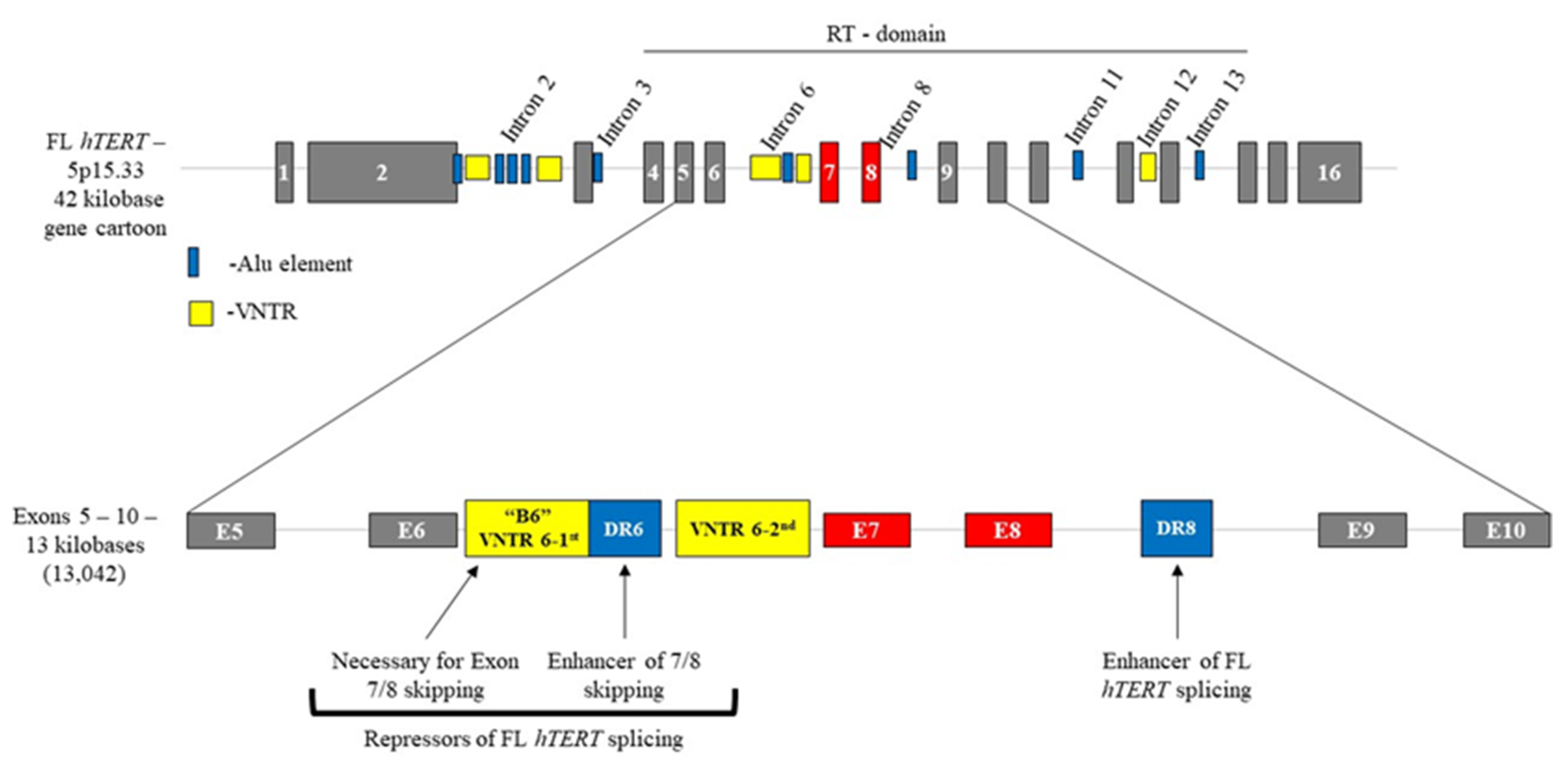 Cancers 12 01514 g002
