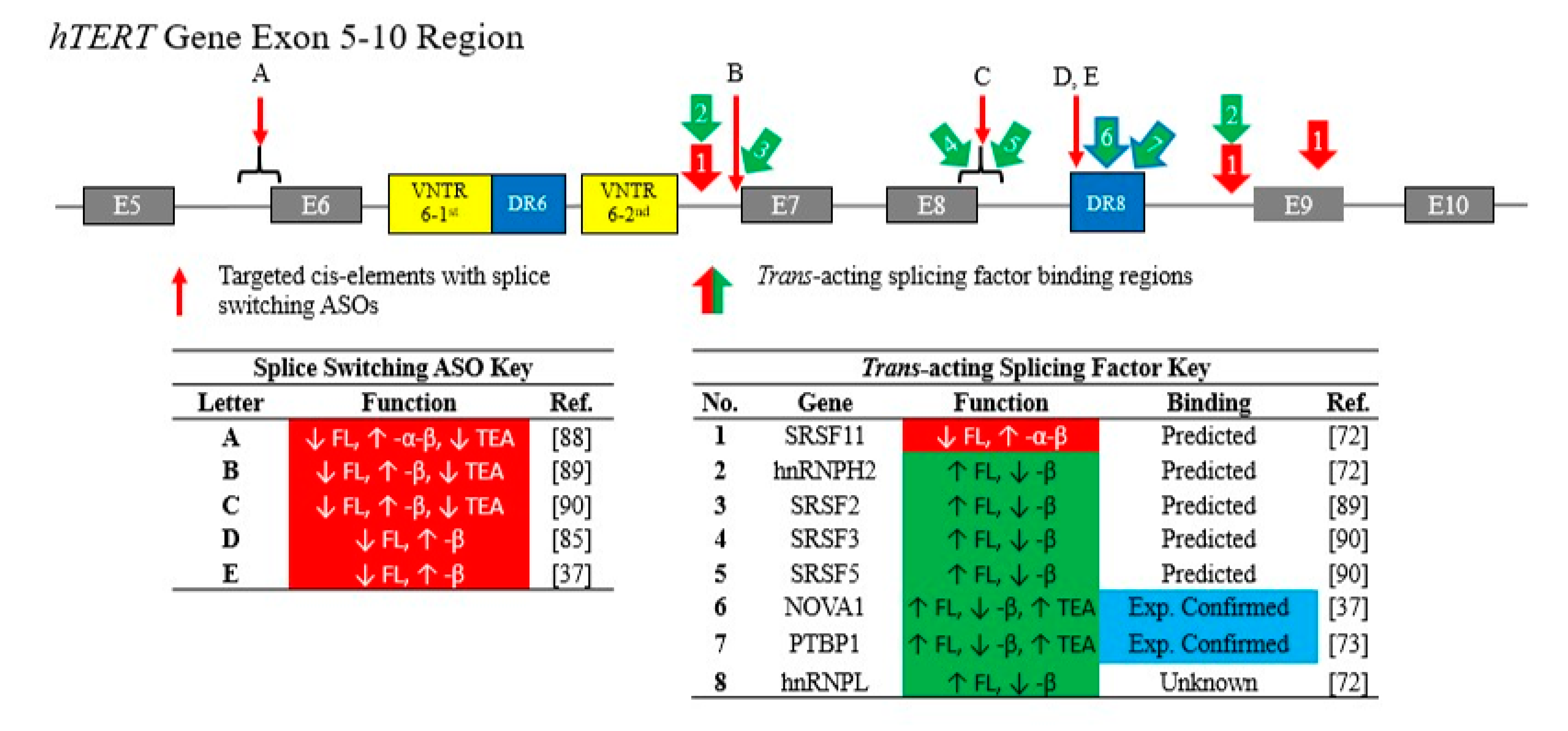Cancers 12 01514 g003