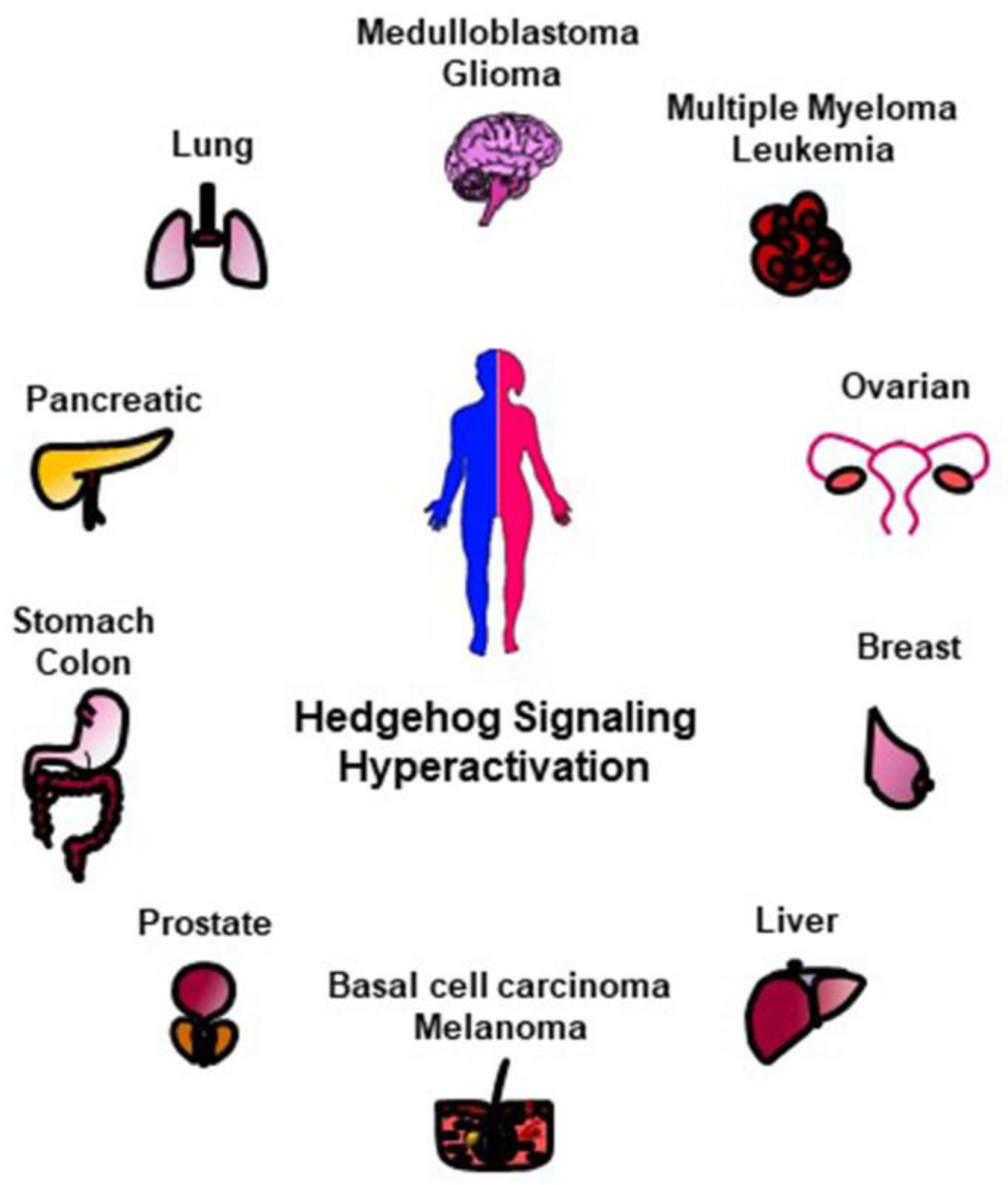 Cancers 12 01518 g002 Cancers 12 01518 g002