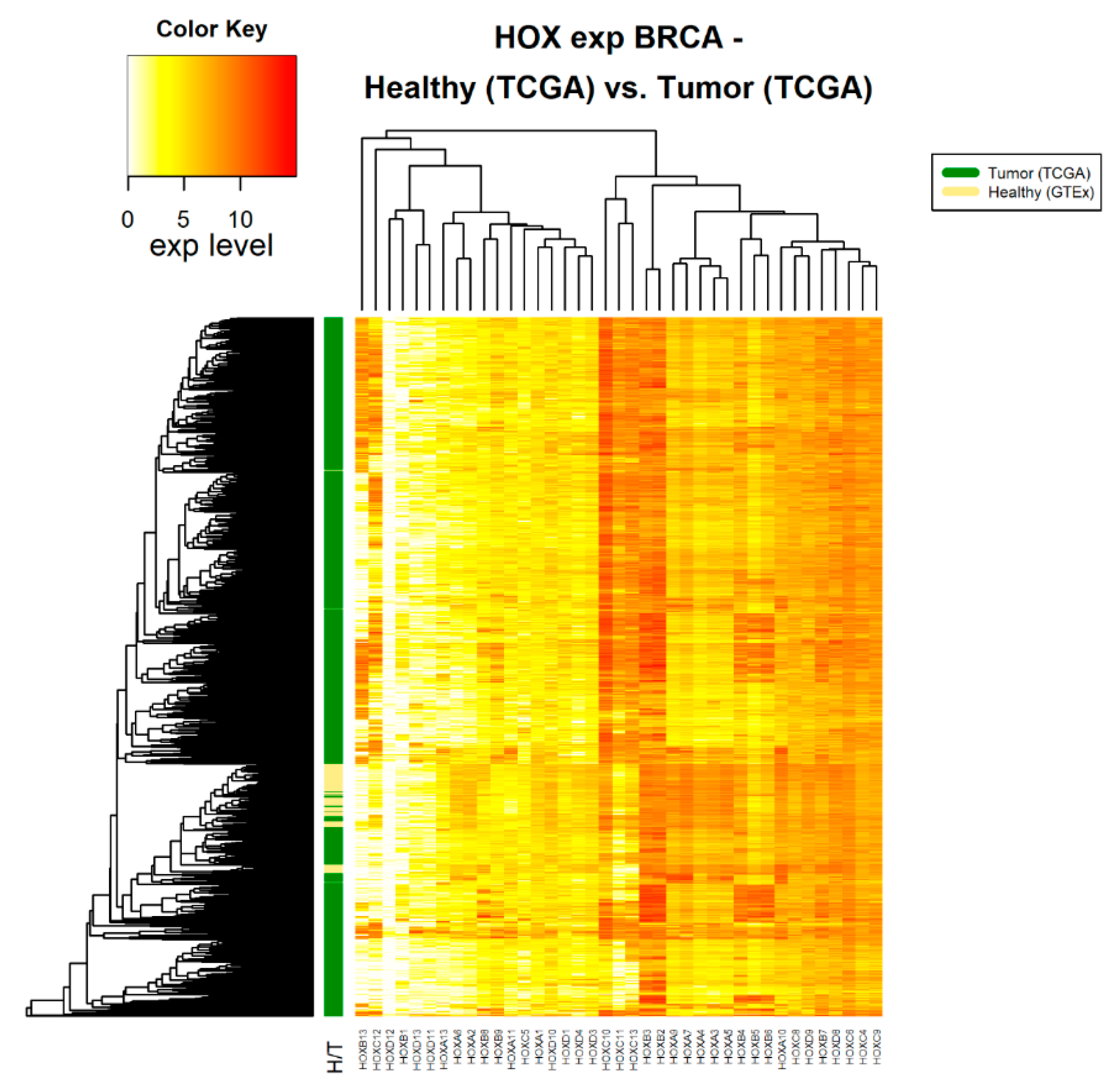 Cancers 12 01572 g001 Cancers 12 01572 g001
