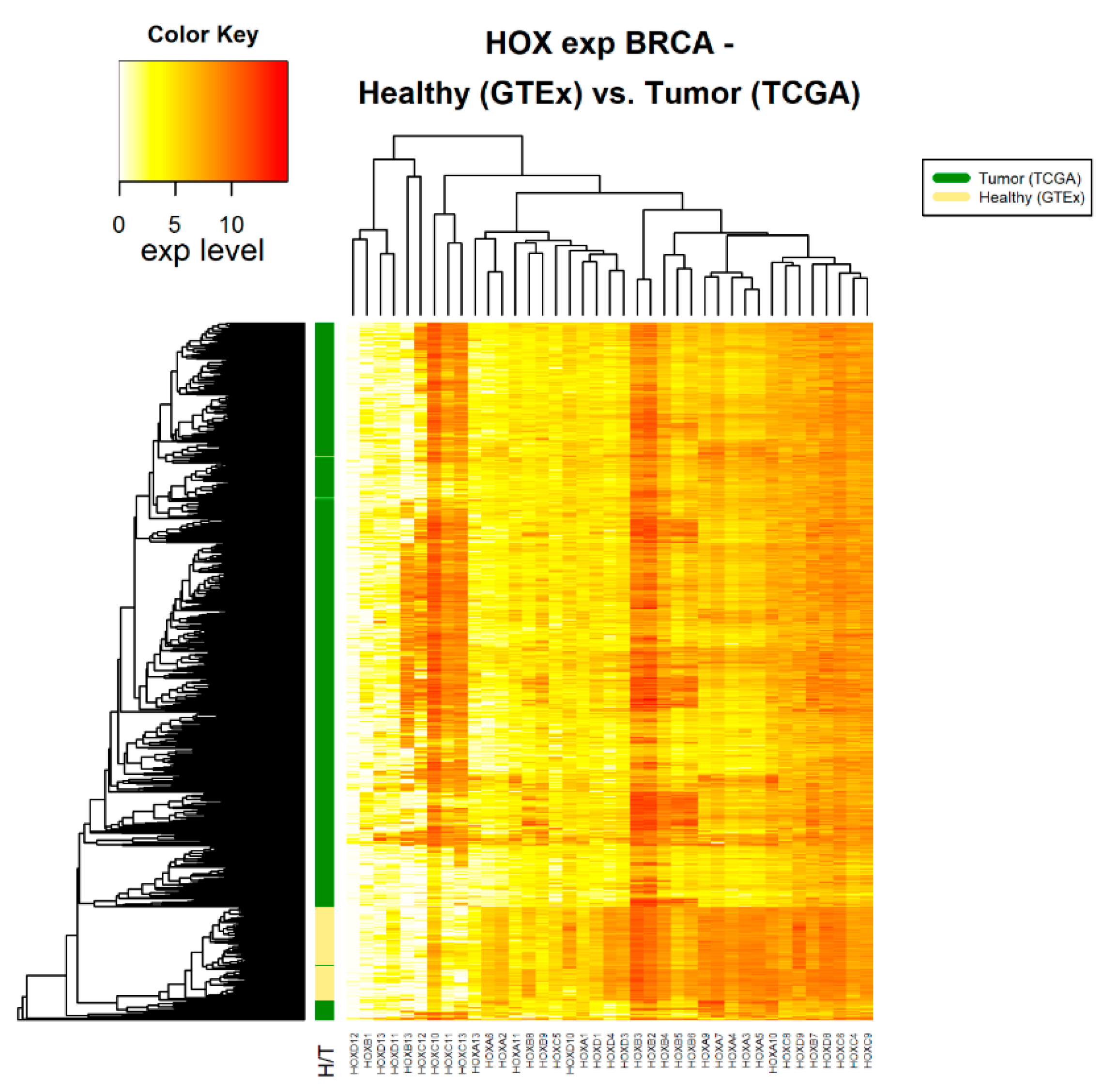 Cancers 12 01572 g002 Cancers 12 01572 g002