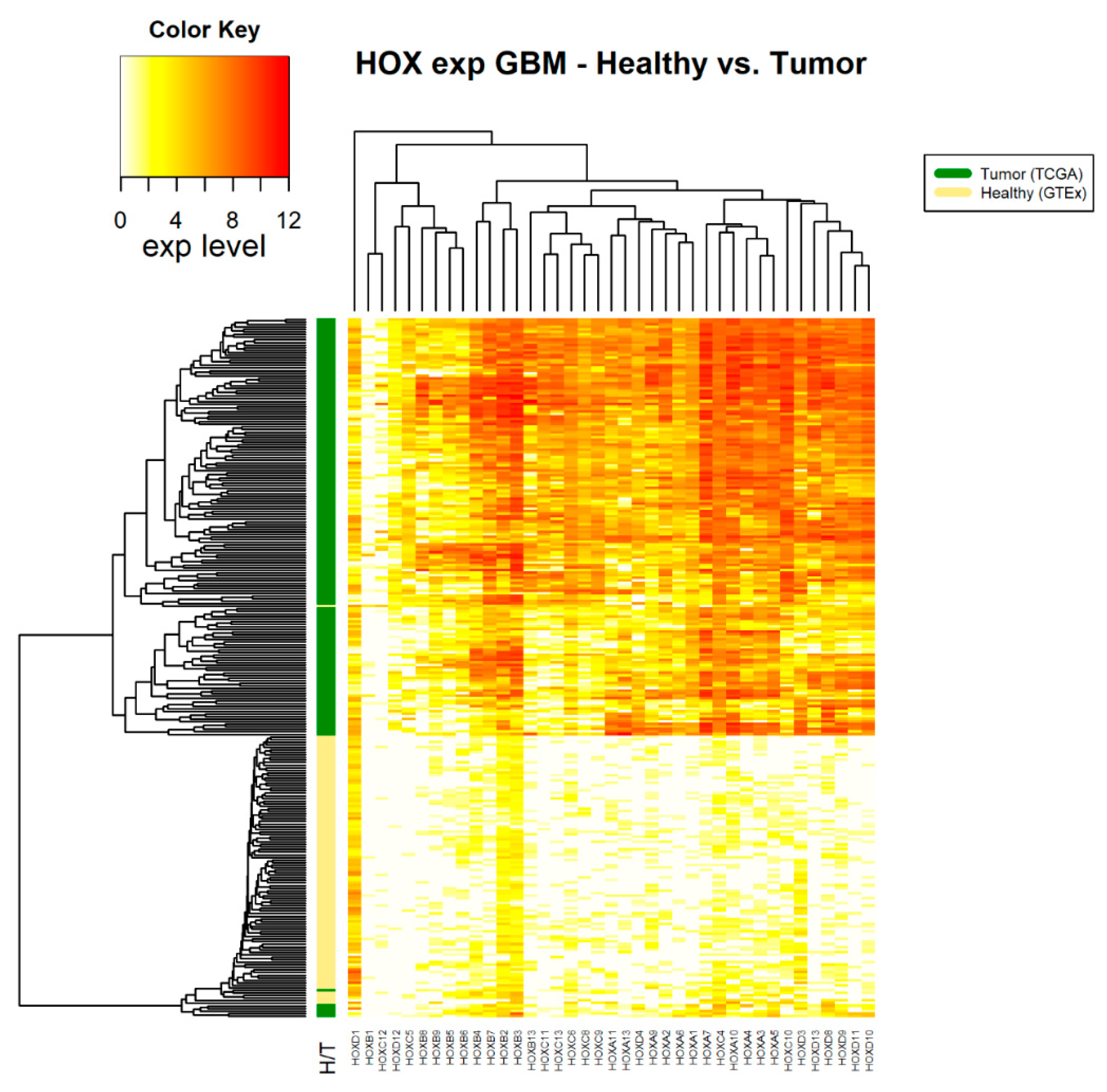 Cancers 12 01572 g003 Cancers 12 01572 g003