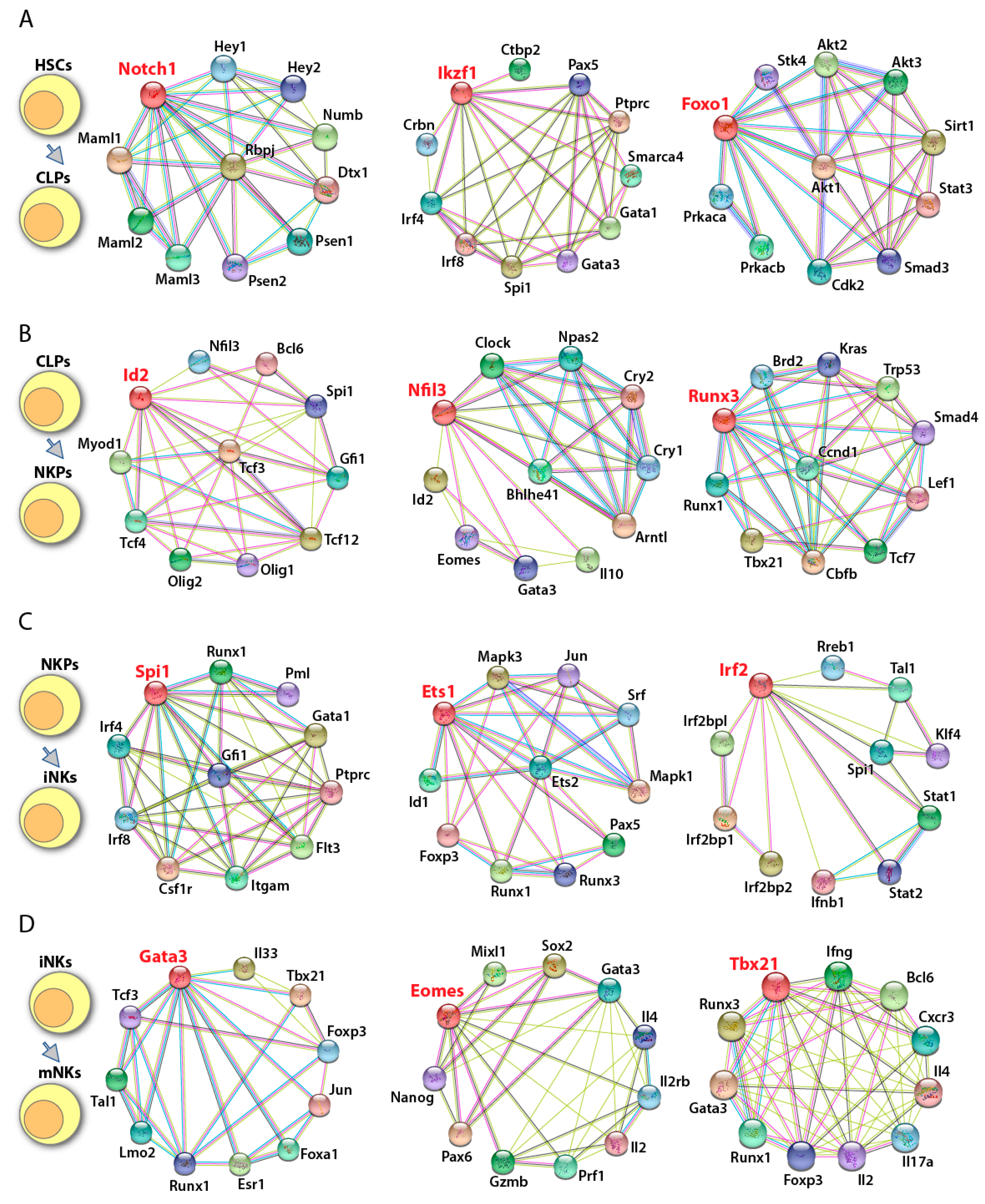 Cancers 12 01591 g004 Cancers 12 01591 g004