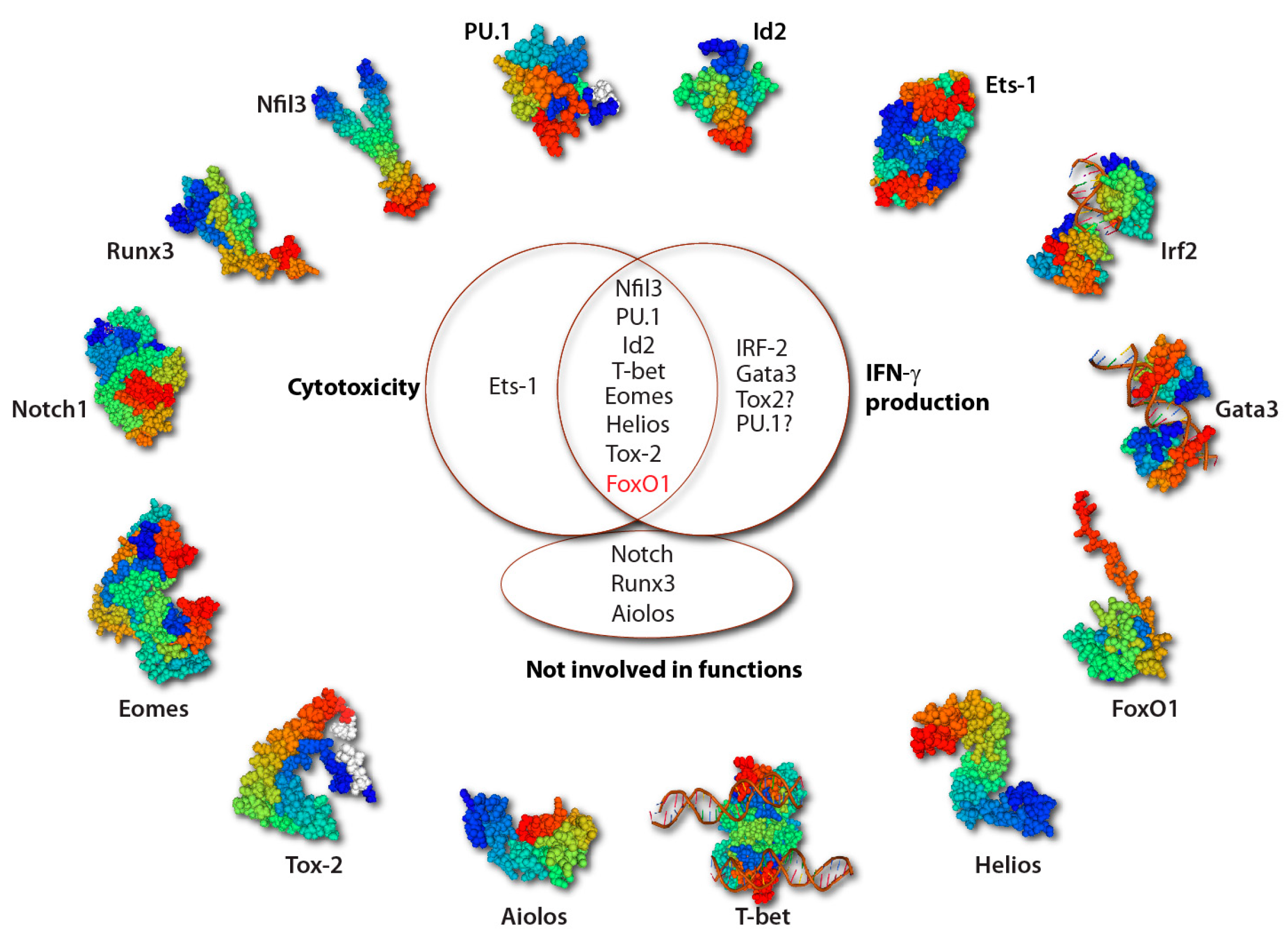 Cancers 12 01591 g006 Cancers 12 01591 g006