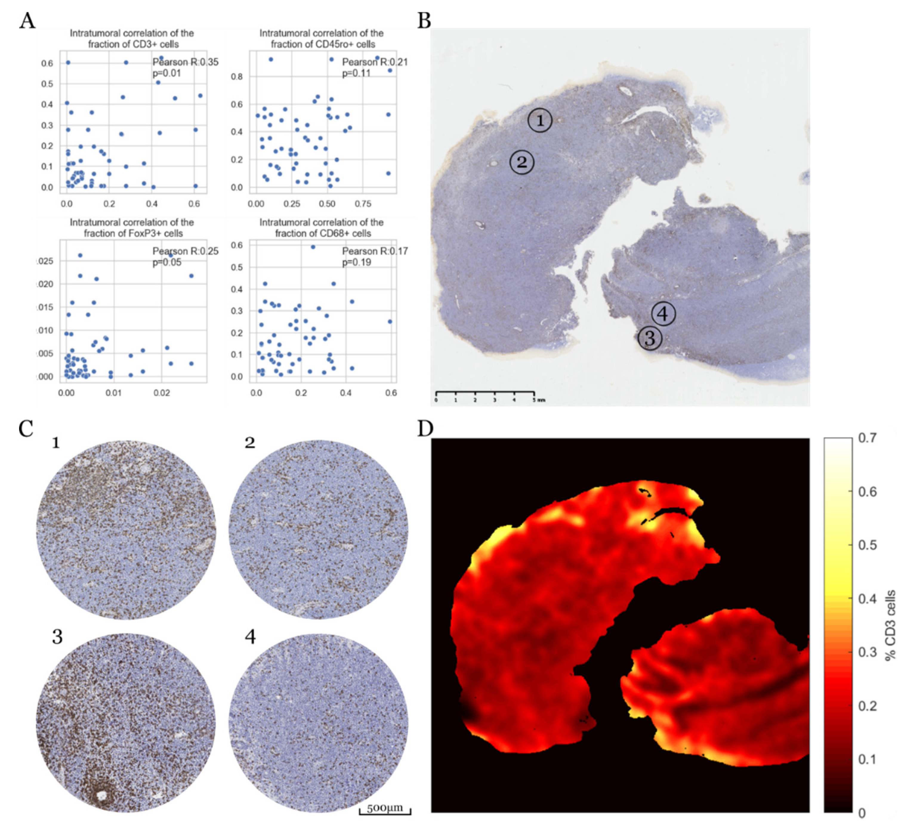 Cancers 12 01593 g004