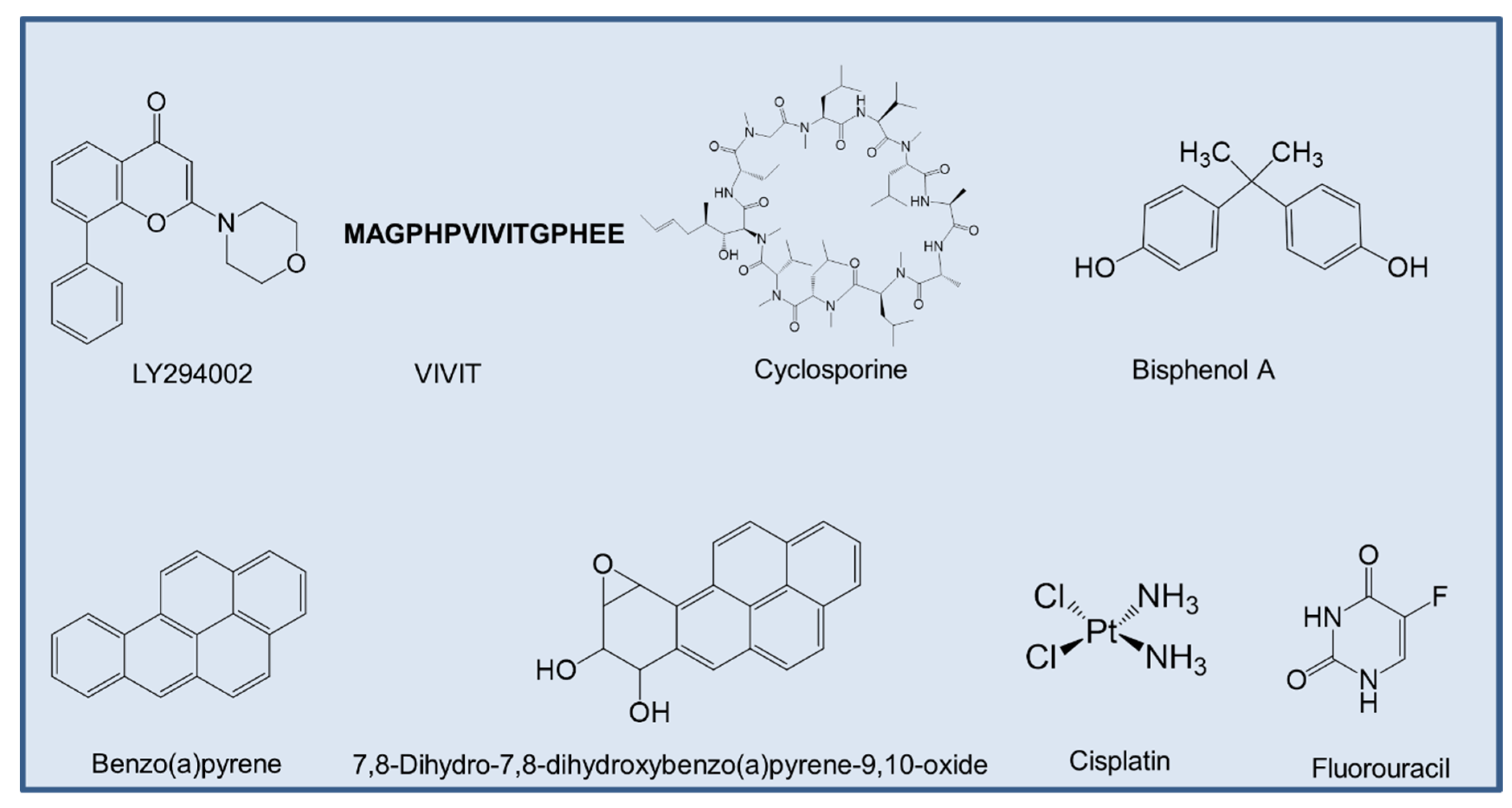 Cancers 12 01600 g006