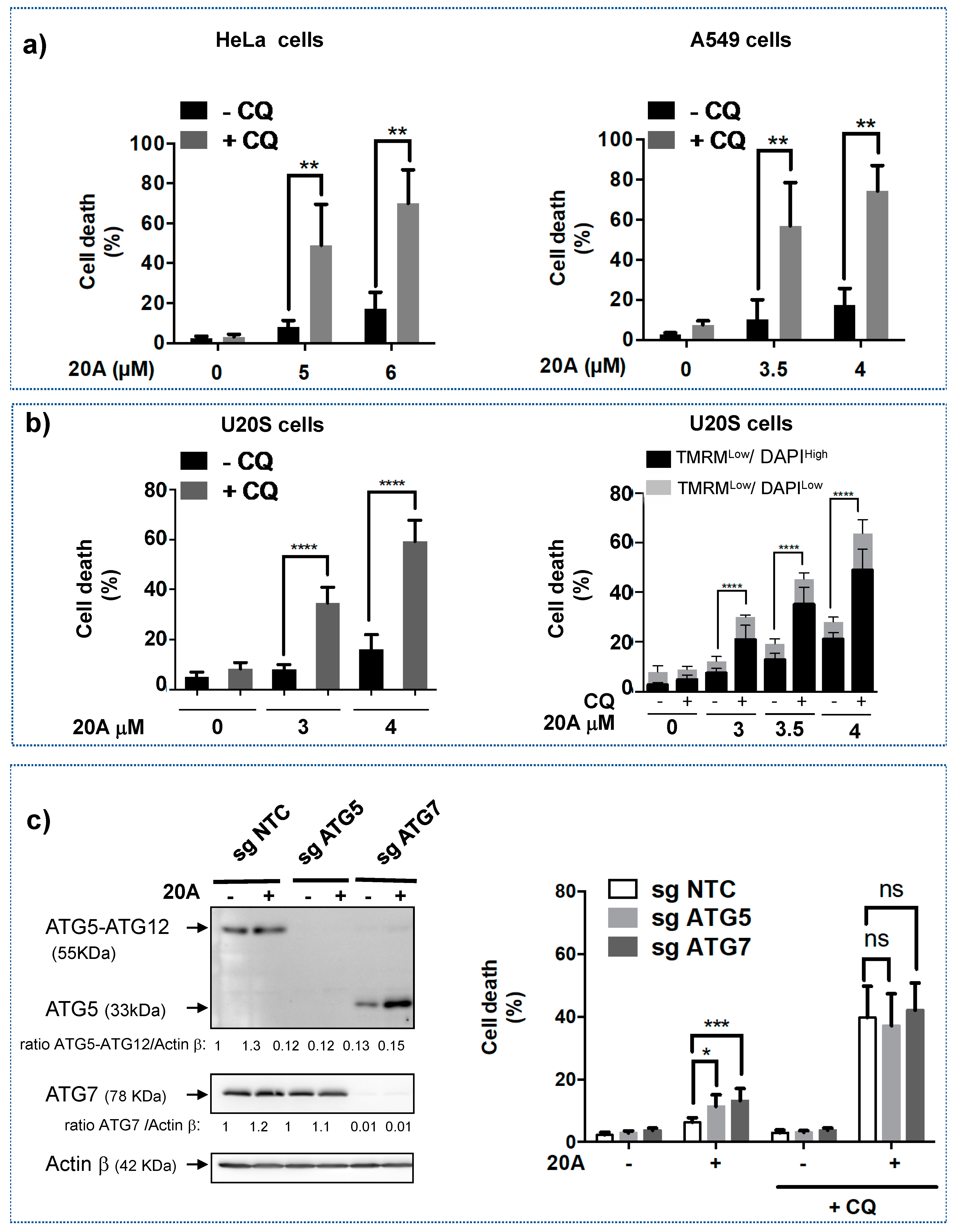 Cancers 12 01621 g003