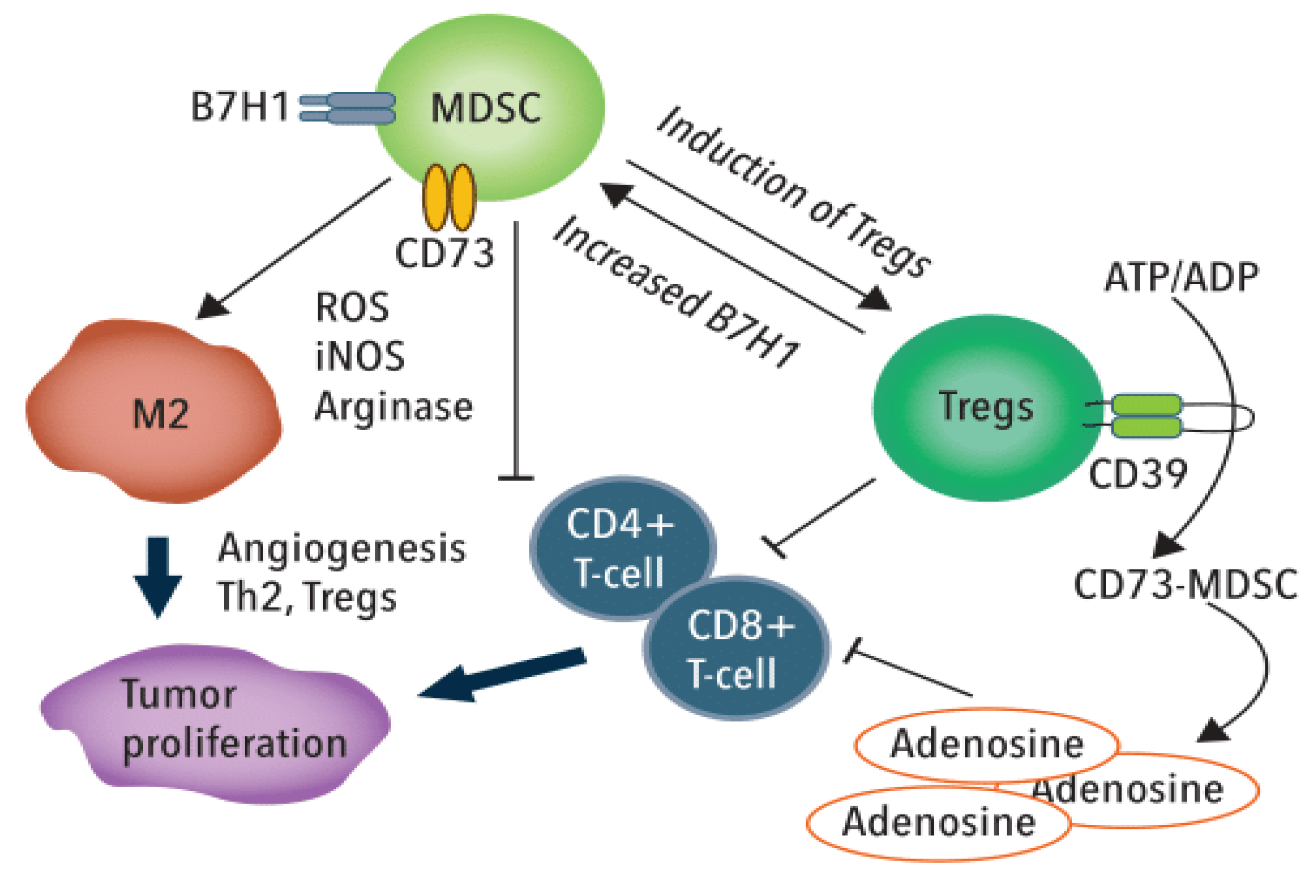 Cancers 12 01641 g002 Cancers 12 01641 g002