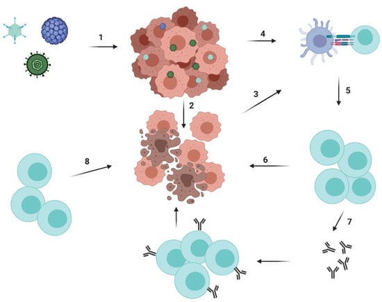 Cancers | Free Full-Text | Advances In Anti-Cancer Immunotherapy: Car-T ...