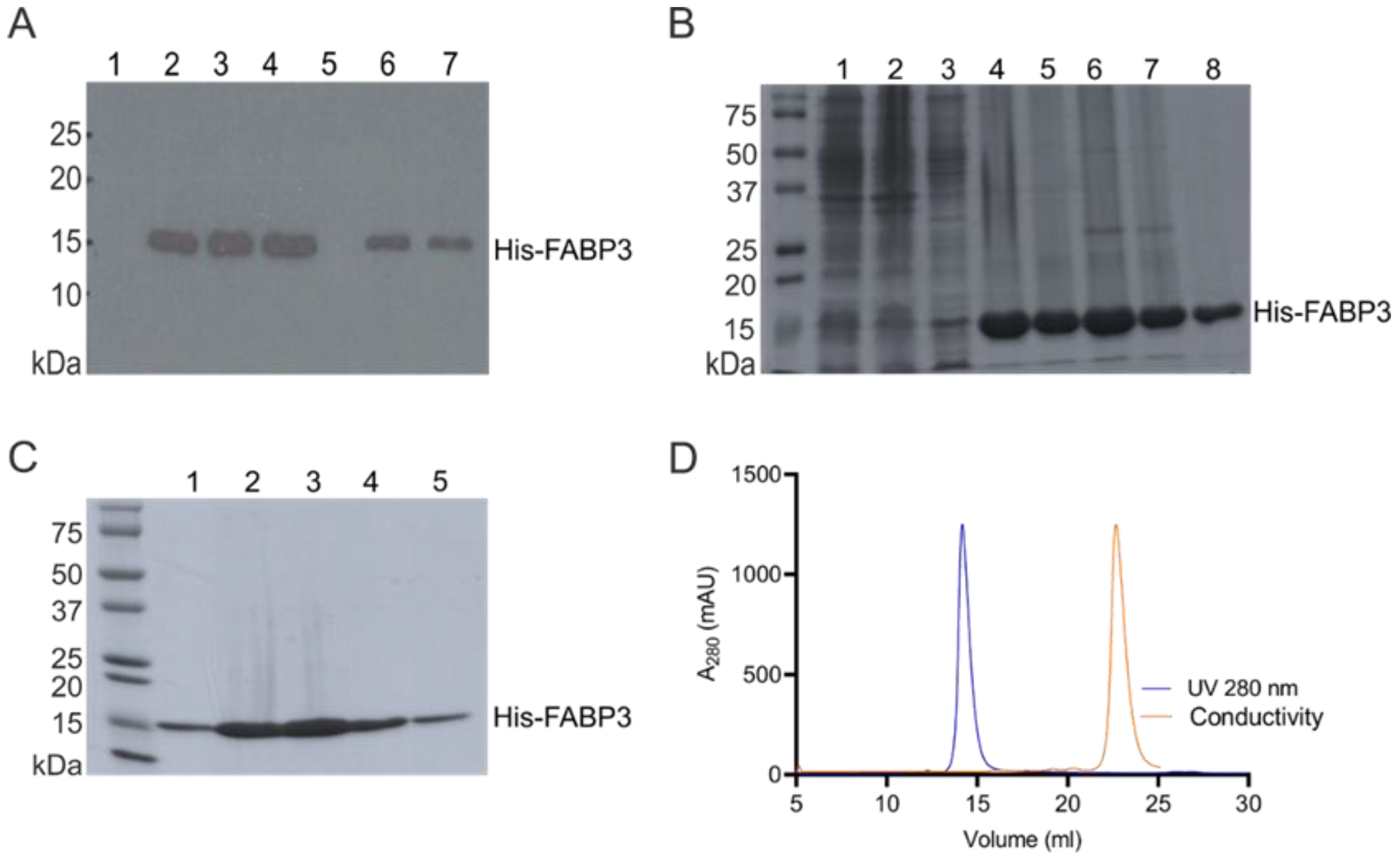 Cancers Free Full Text Tumor Targeting Peptides The Functional Screen Of Glioblastoma Homing Peptides To The Target Protein Fabp3 Mdgi Html