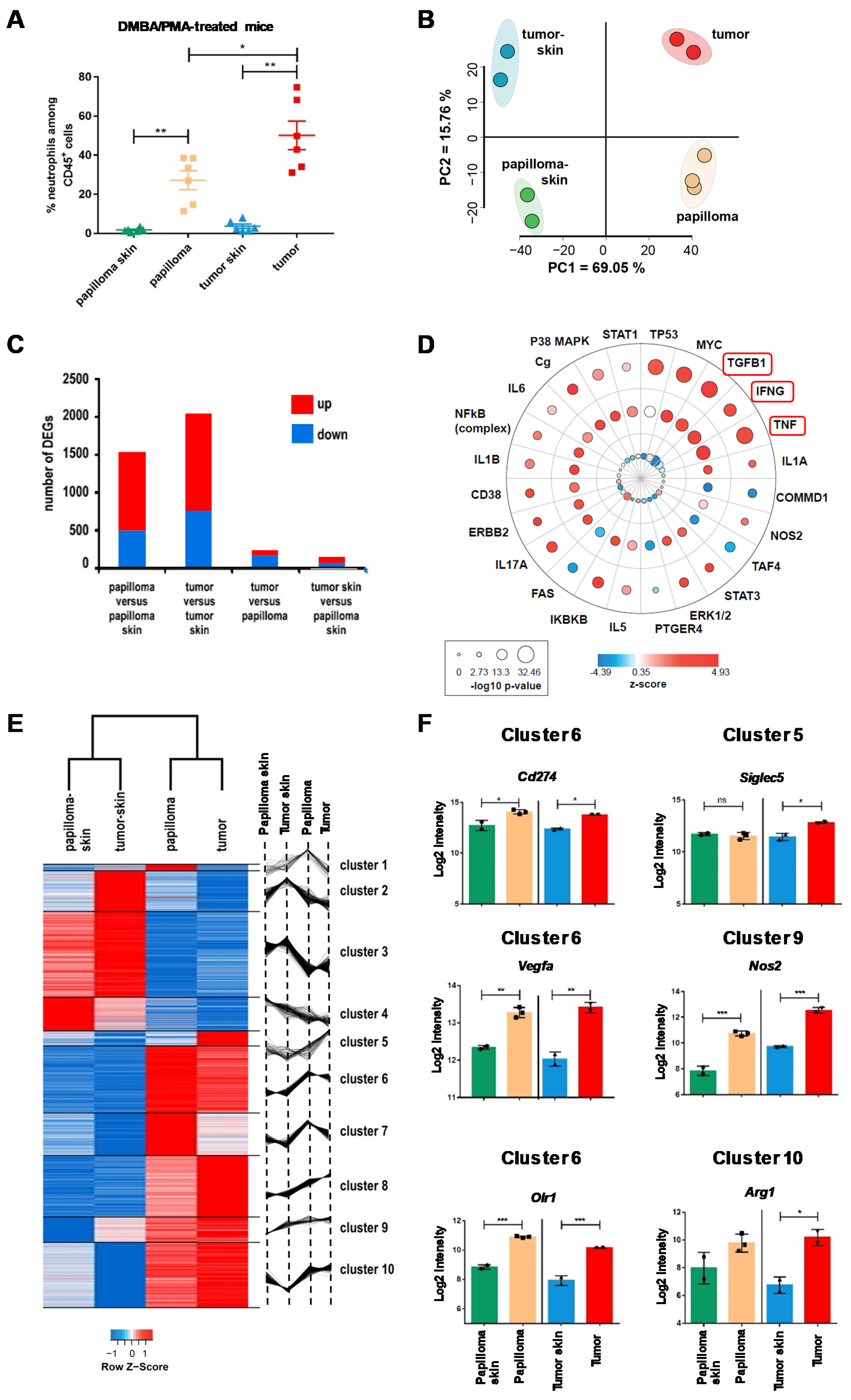 Cancers 12 01860 g001